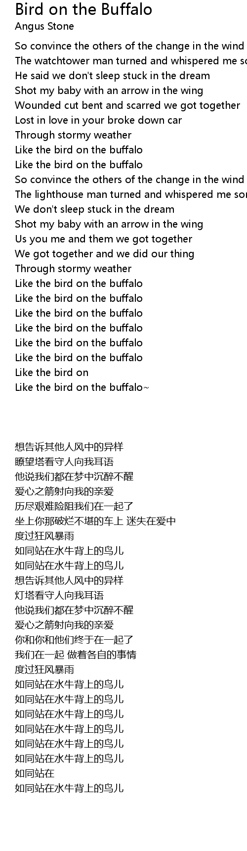 handling Eksempel stenografi Bird on the Buffalo Lyrics - Follow Lyrics