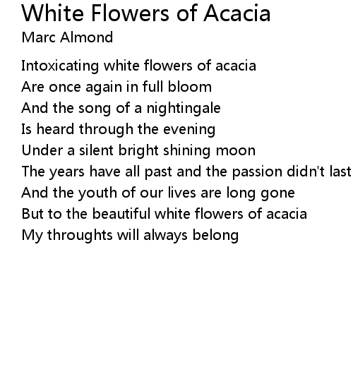 White Flowers Of Acacia Lyrics Follow Lyrics