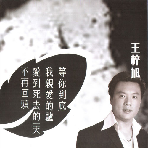 bu zai hui tou