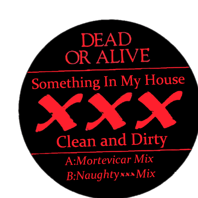 Something In My House (Naughty XXX Mix)