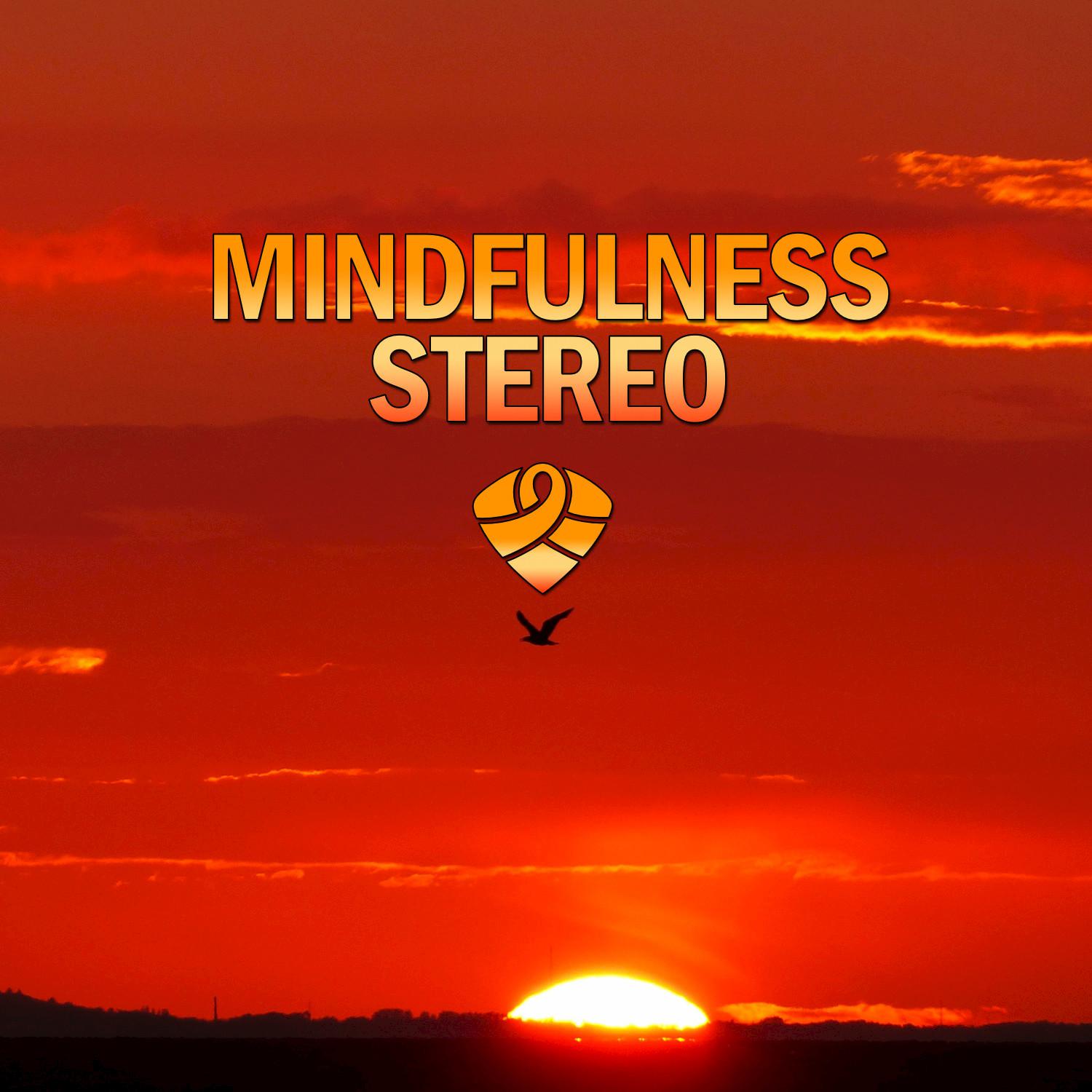 Mindfulness Stereo, Vol. 9