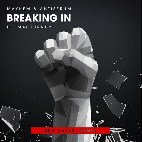 Breaking In (Bro Safari Remix)