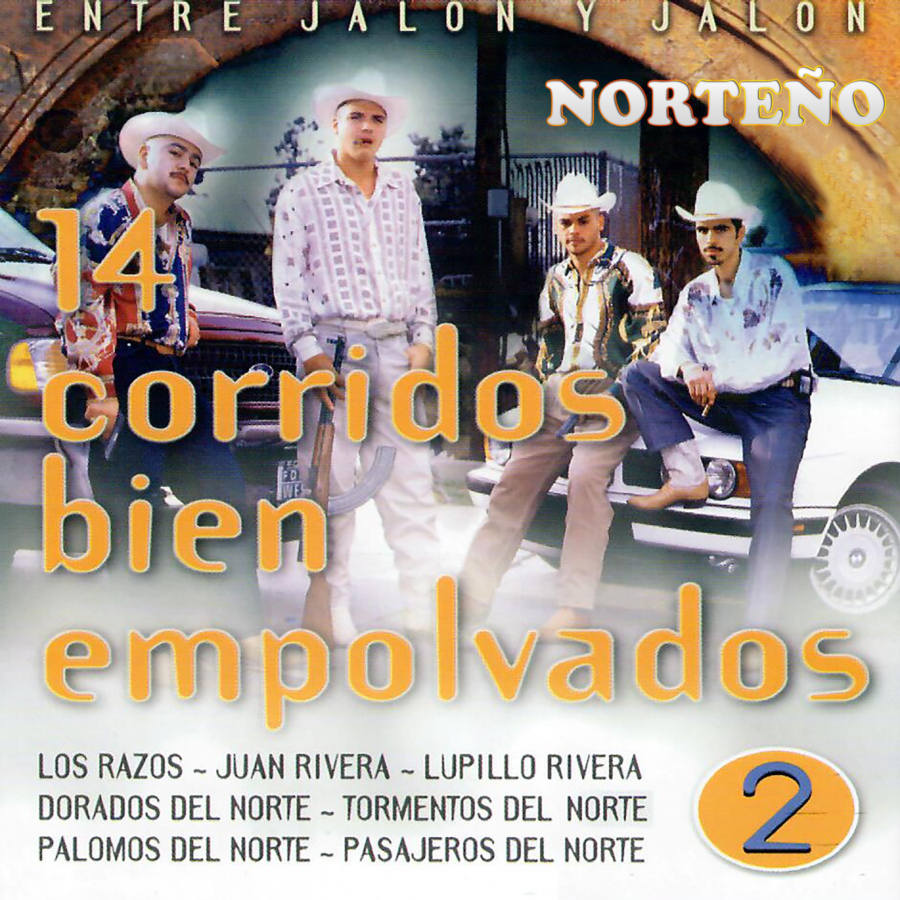 Entre Jalo n y Jalo n 14 Corridos Bie n Empolvados, Vol. 2