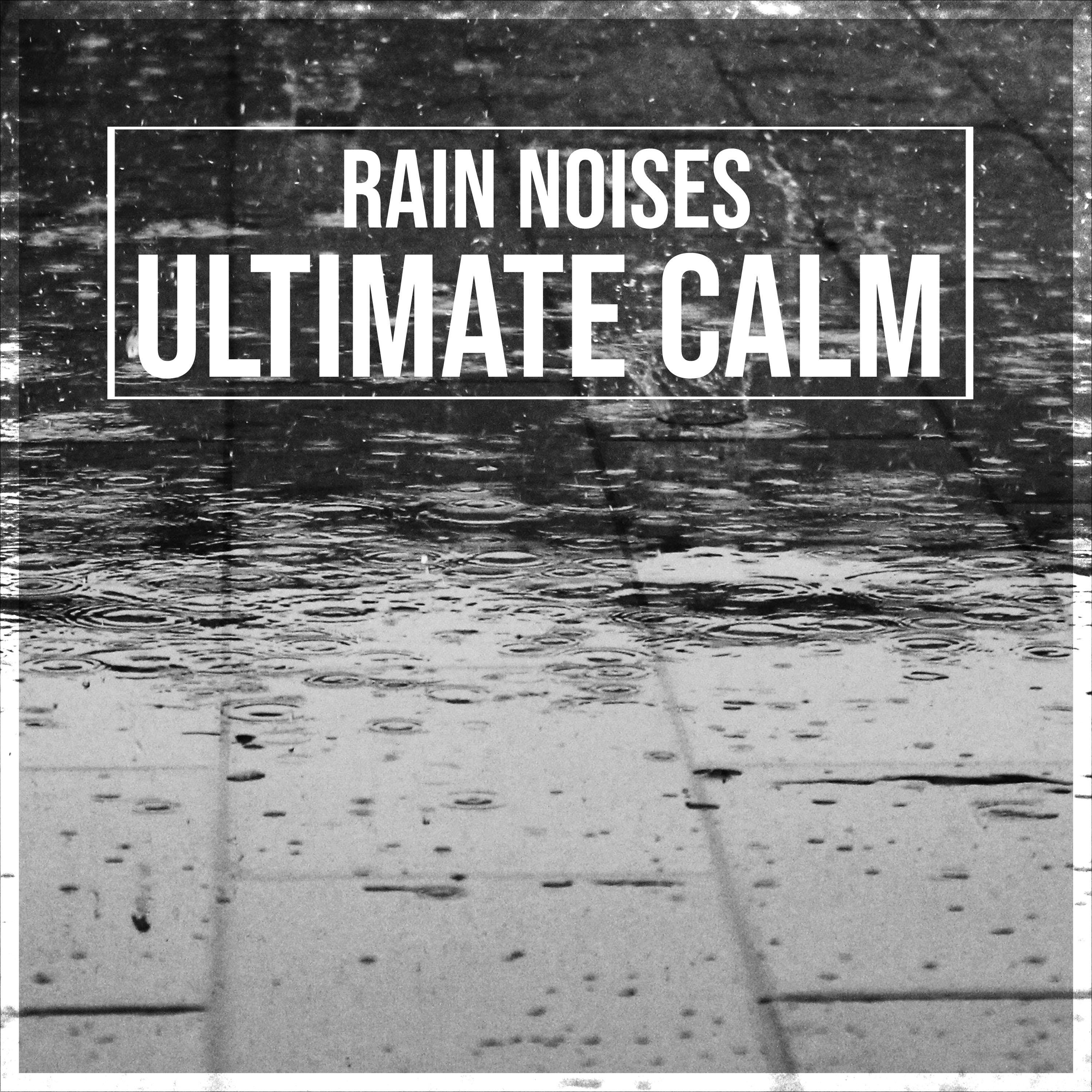 24 Rain and Nature Noises for Ultimate Calm