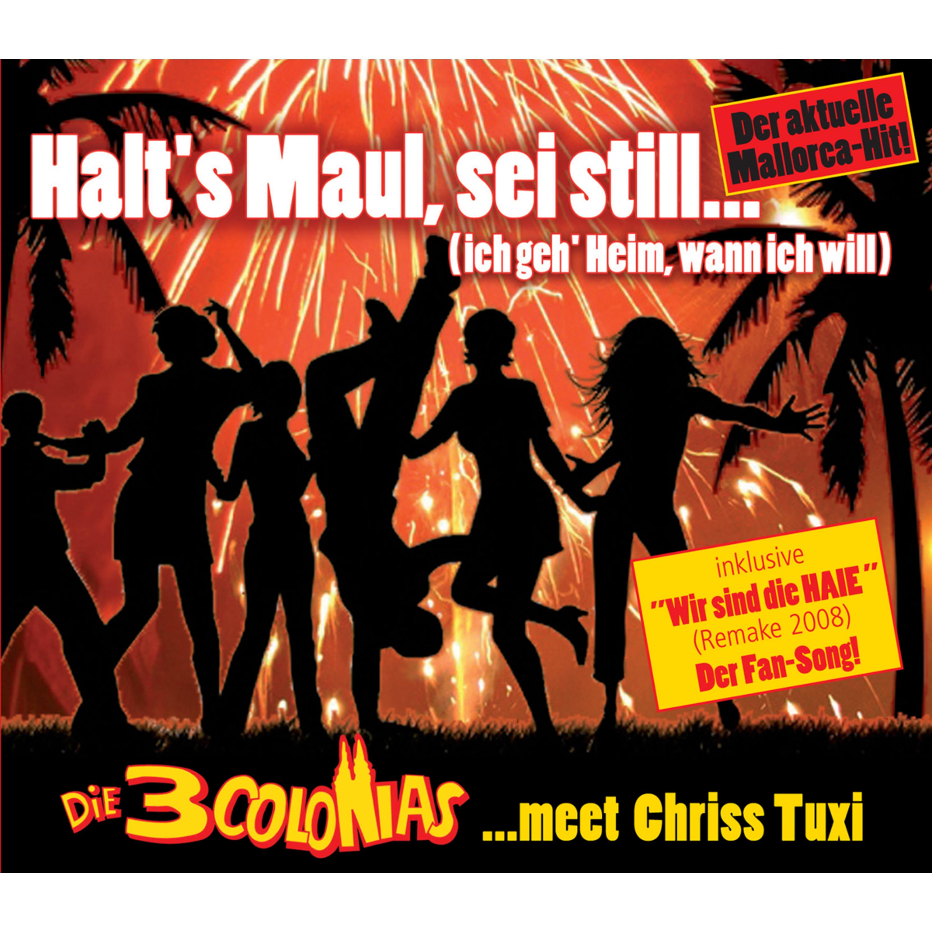 Halt's Maul, sei still (ich geh Heim, wann ich will) (Karaoke Version)