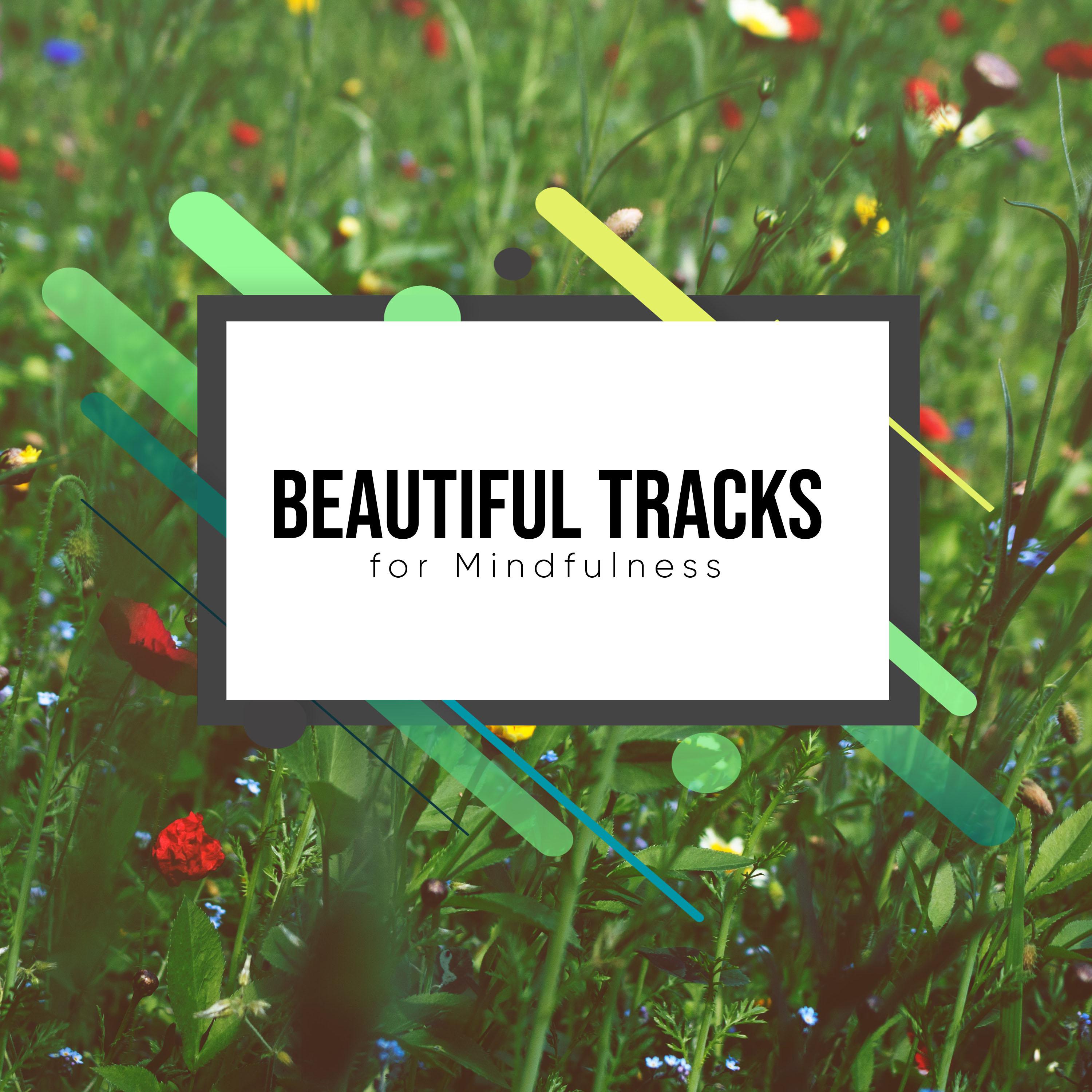17 Beautiful Tracks for Mindfulness