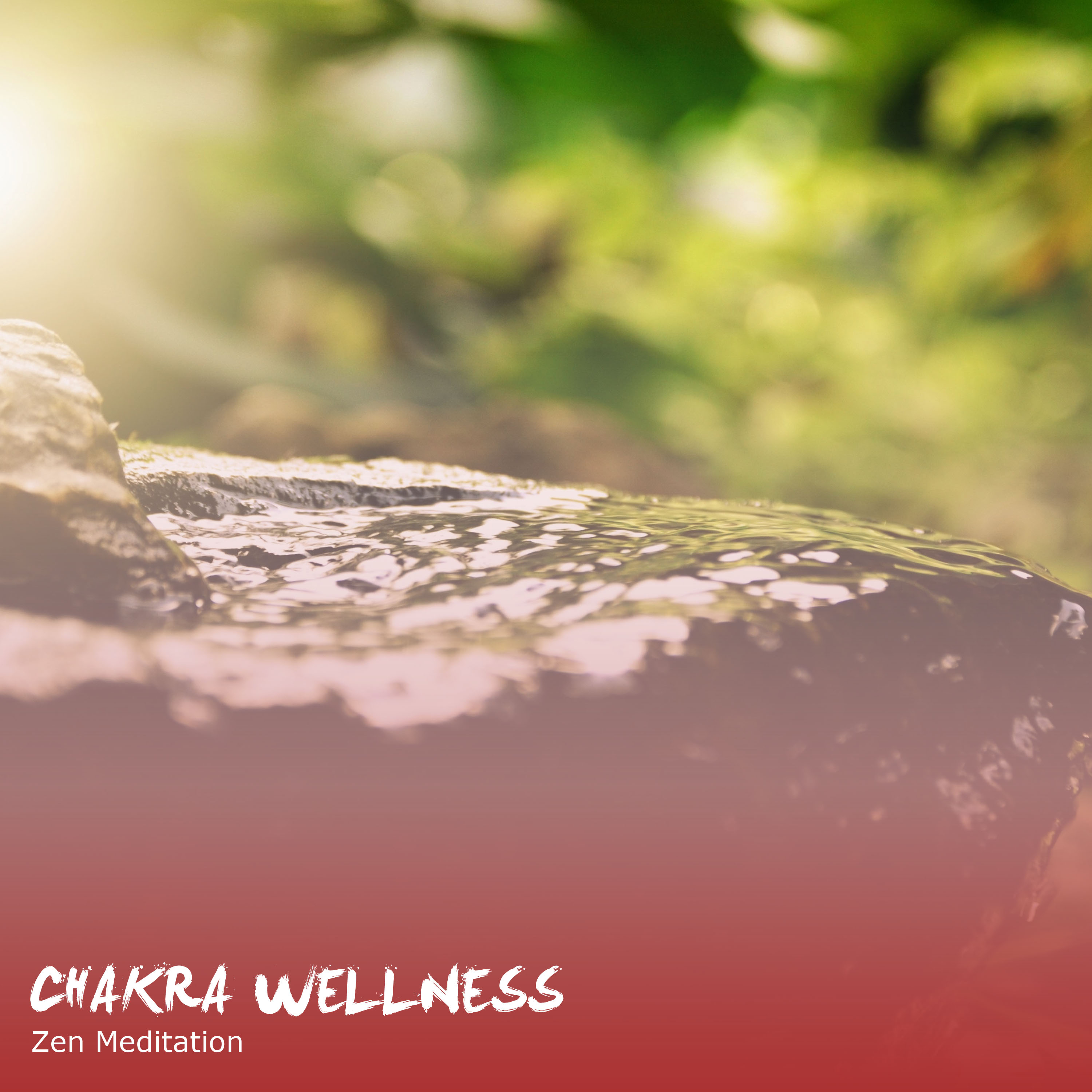 15 Chakra Wellness Tracks - Ambience and Zen Meditation