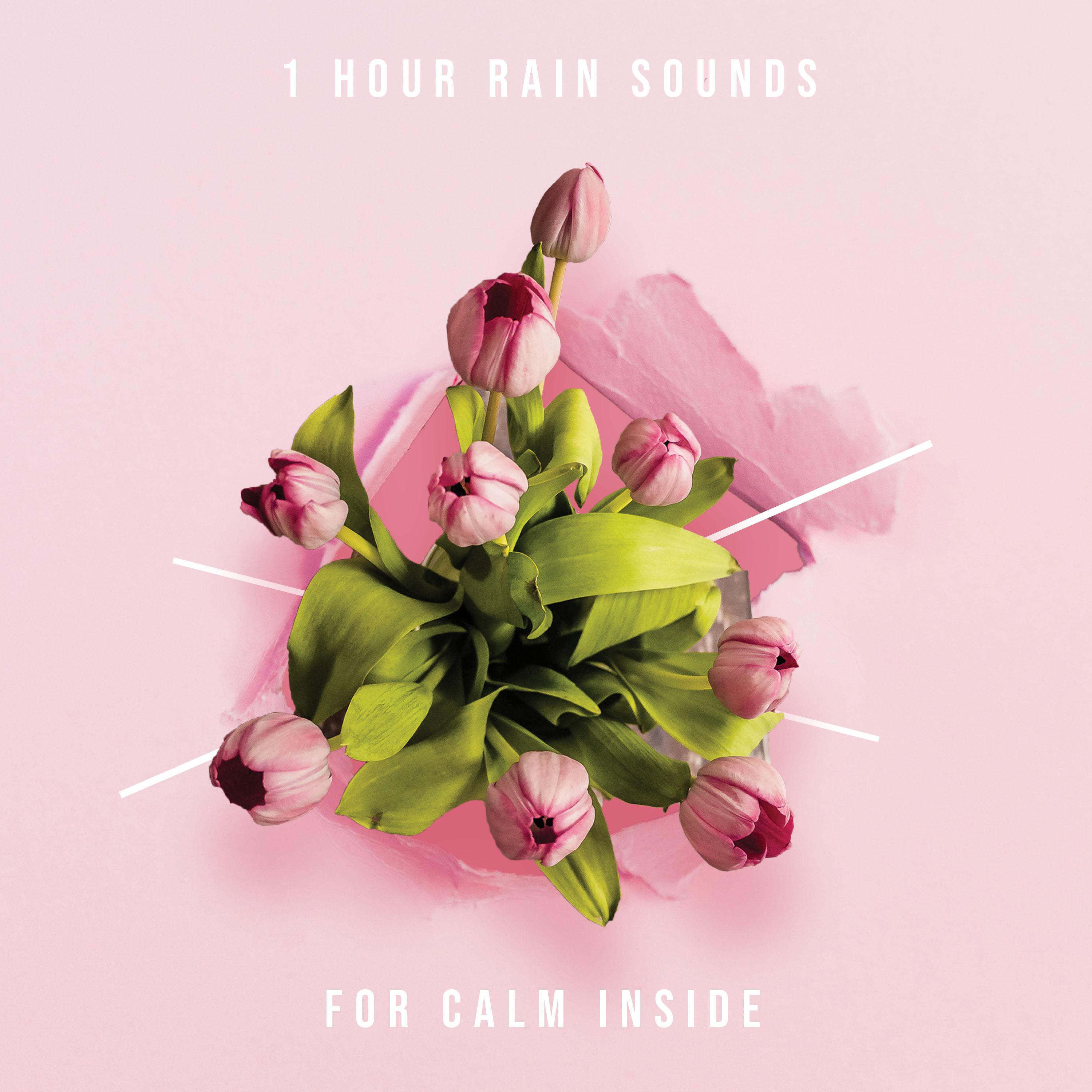 1 Hour RainSounds for Calm Inside