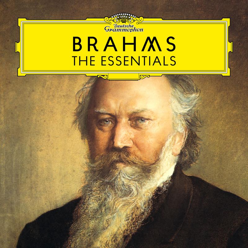Brahms: Concerto For Violin And Cello In A Minor, Op.102 - 3. Vivace non troppo - Poco meno allegro - Tempo I