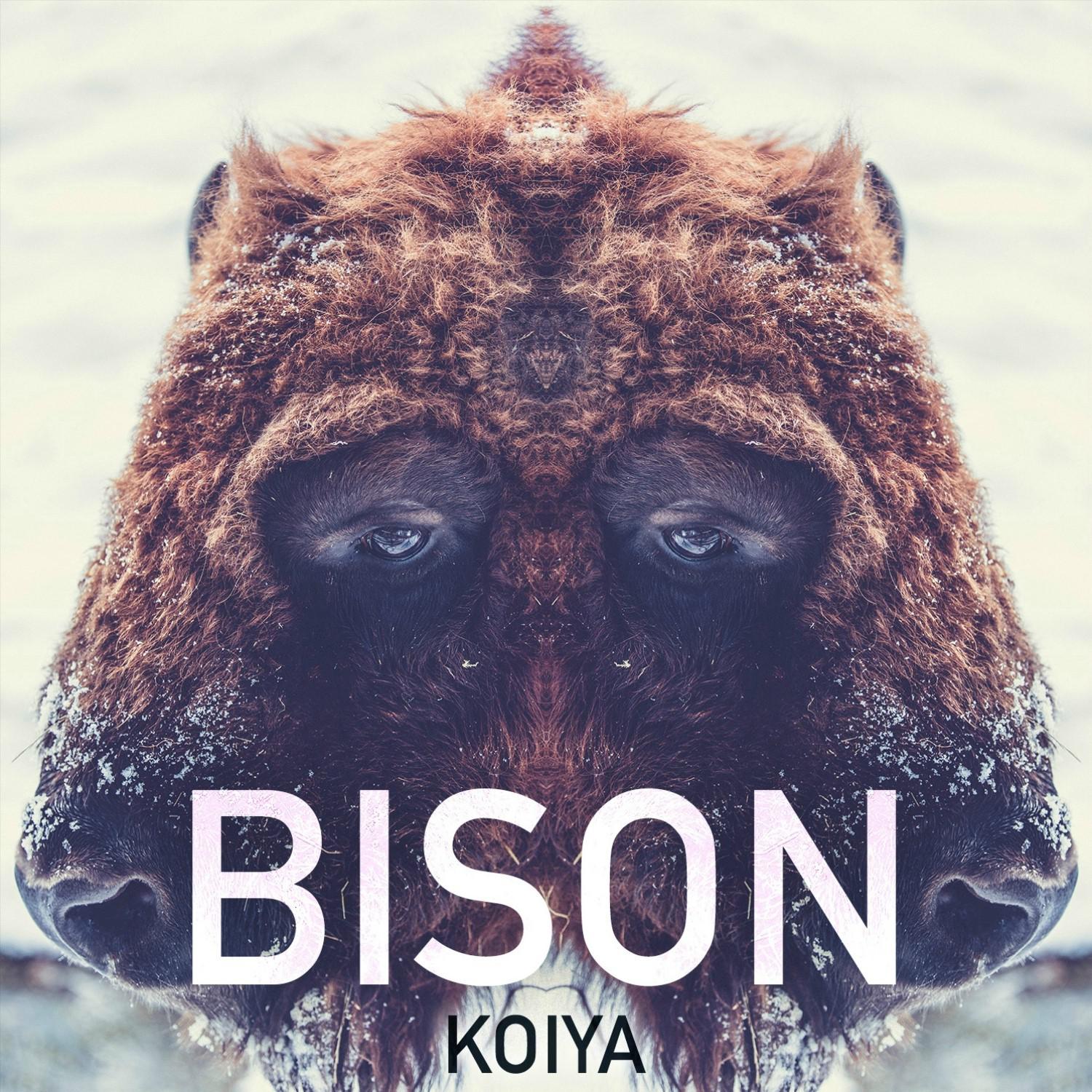 Bison