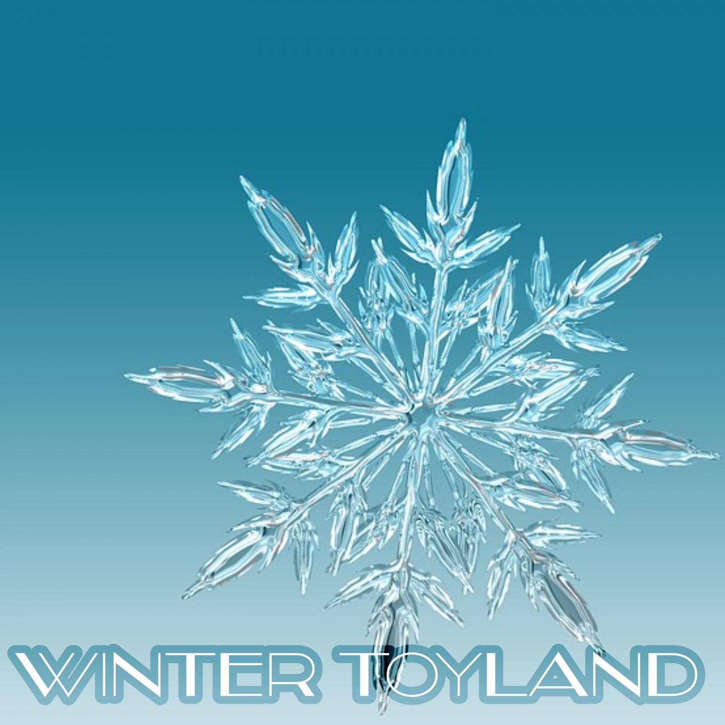Winter Toyland