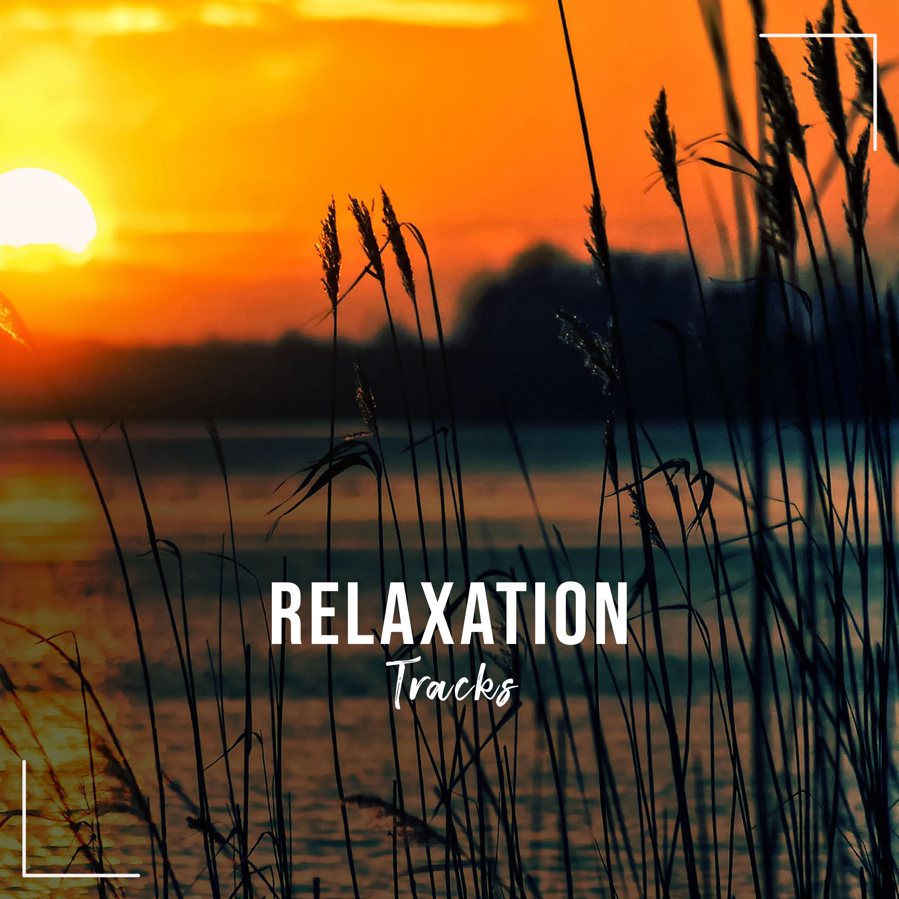 12 Harmonic Tracks for Relaxation Therapy