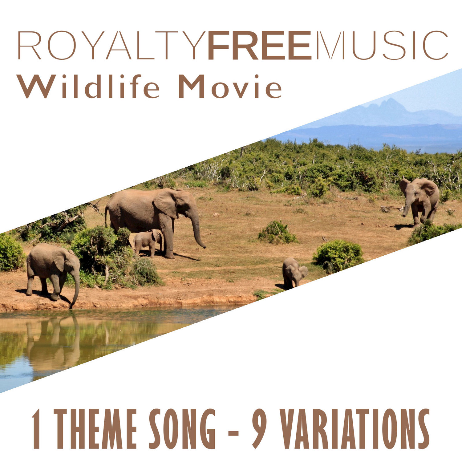 Royalty Free Music: Wildlife Movie (1 Theme Song - 9 Variations)