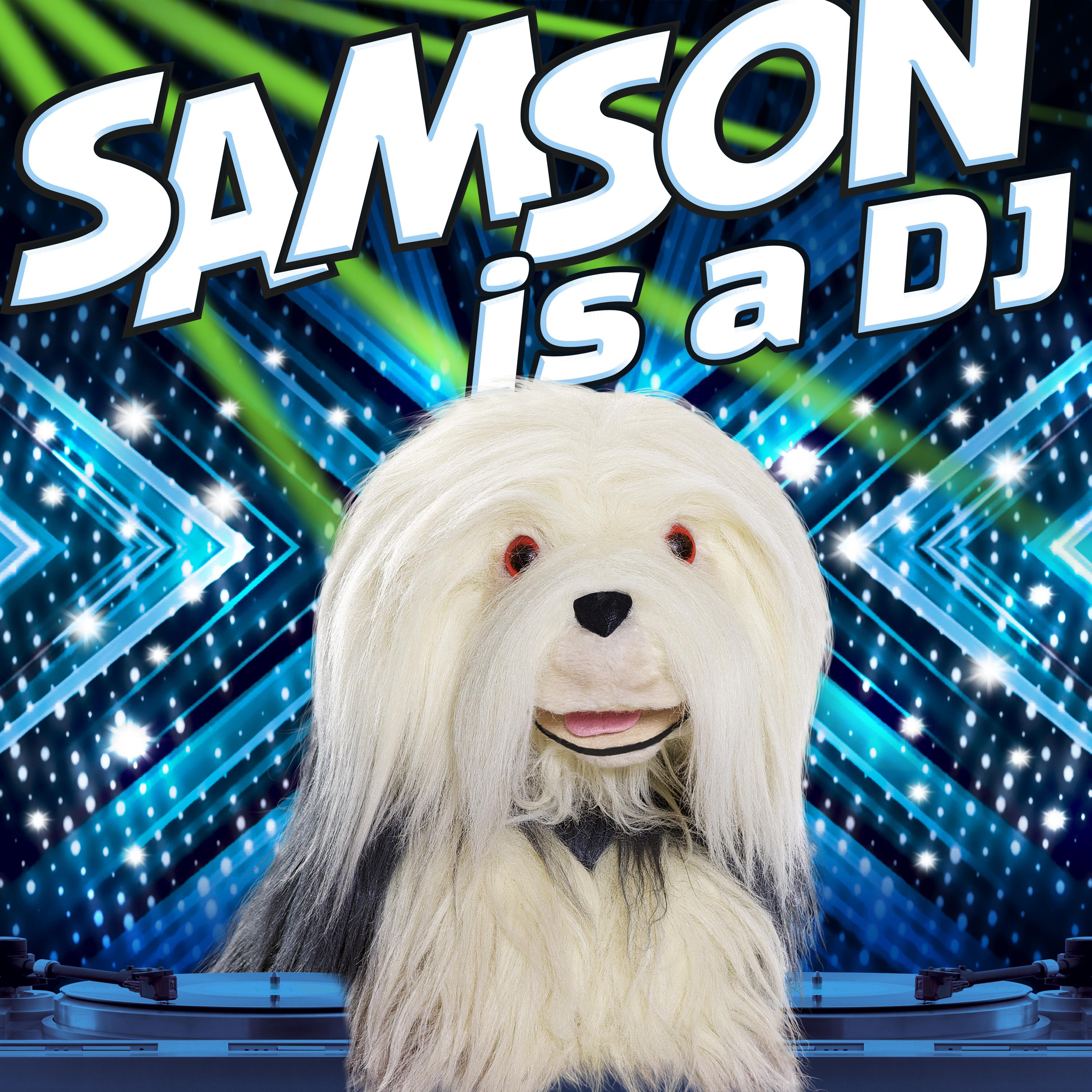 Samson Is A DJ