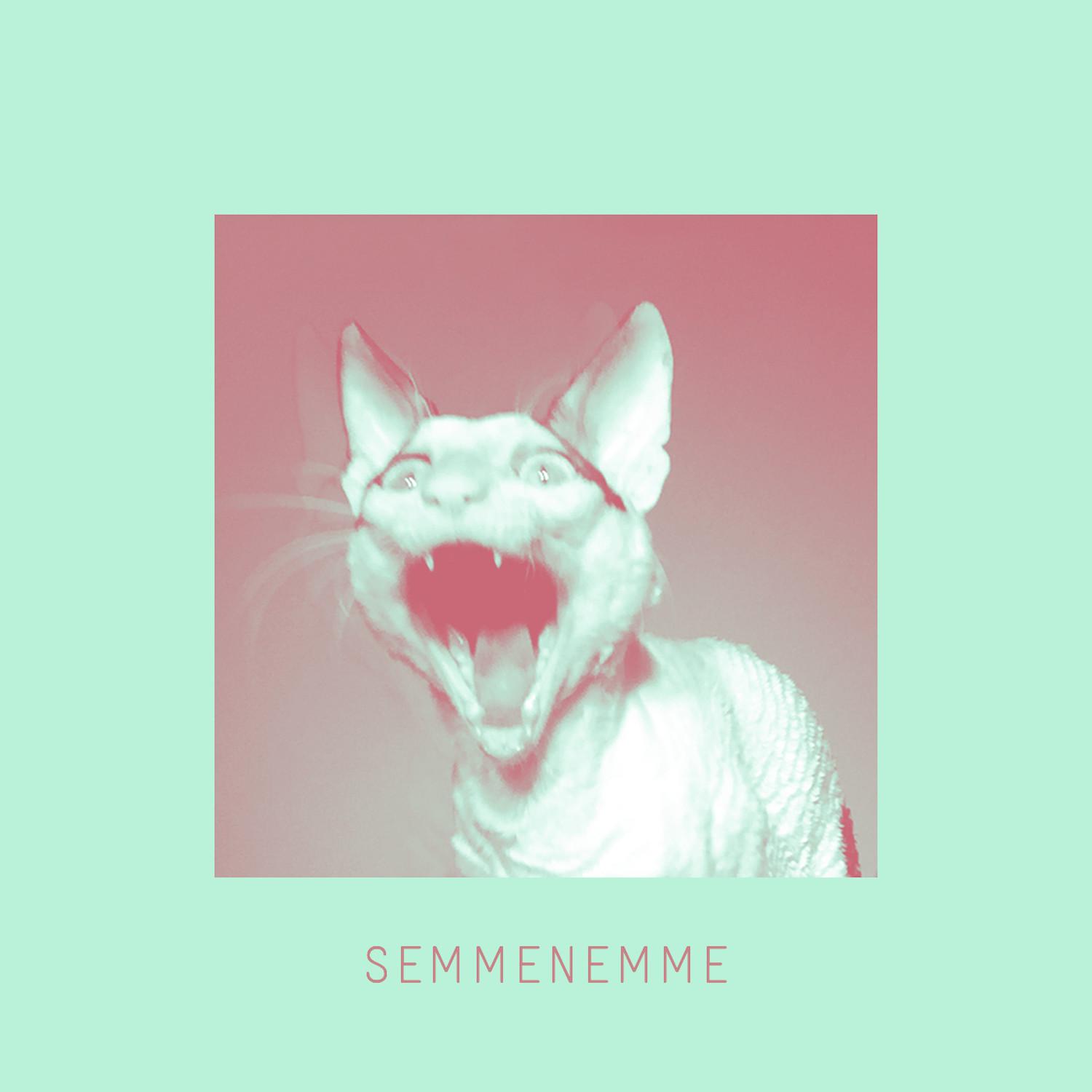 Semmenemme (Radio Edit)