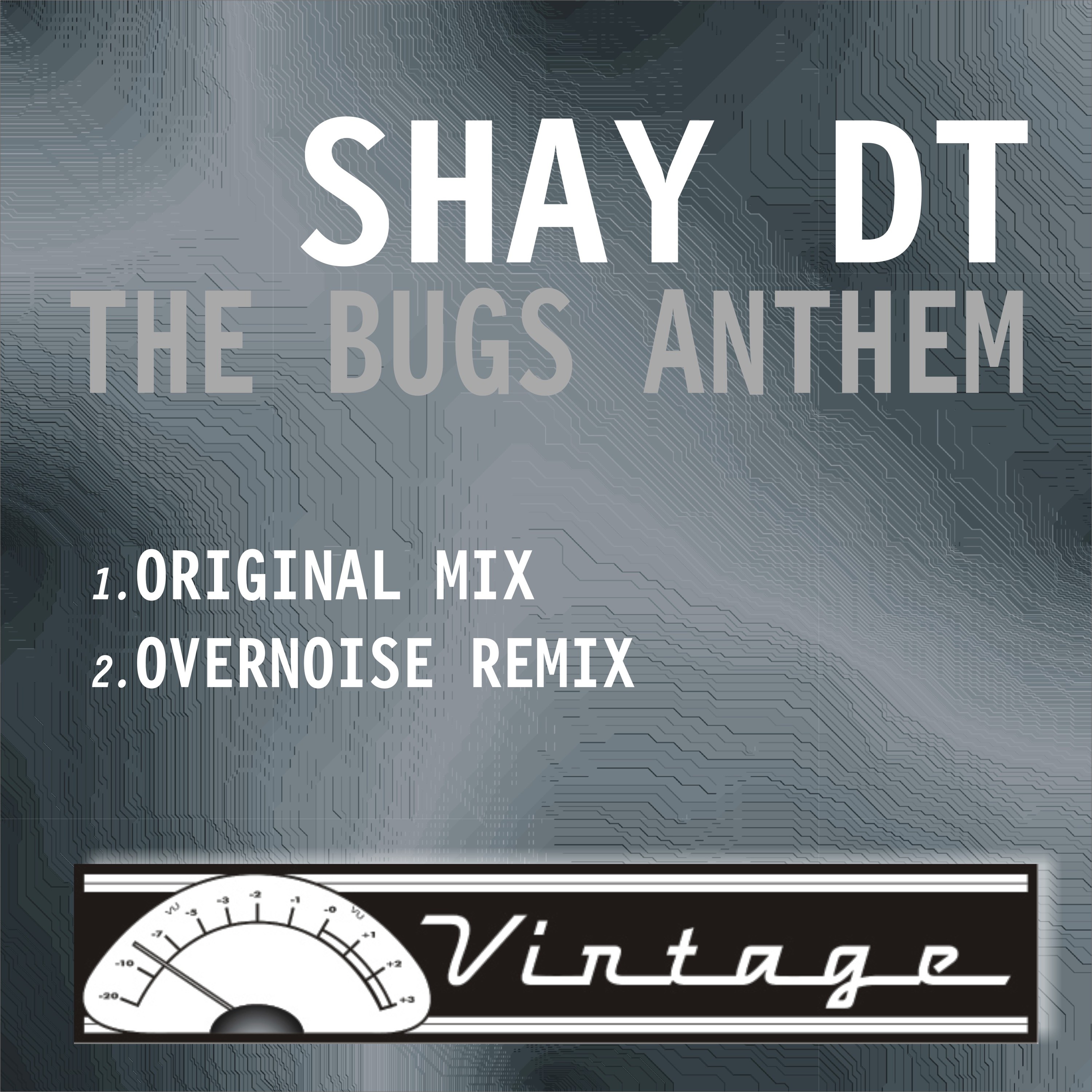 The Bugs Anthem (Original Mix)