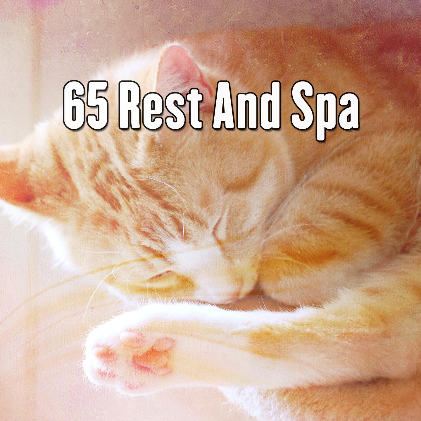 65 Rest And Spa