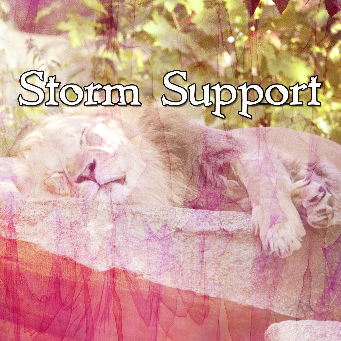 Storm Support