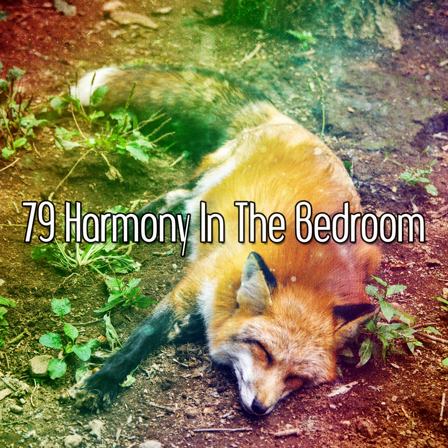 79 Harmony In The Bedroom