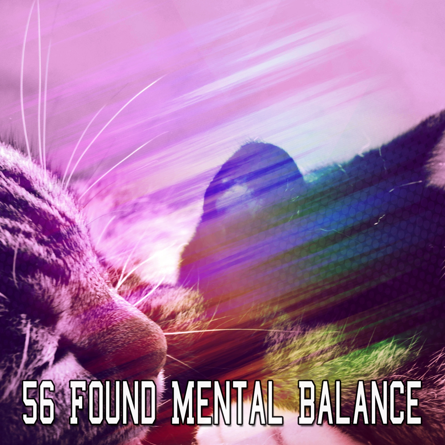 56 Found Mental Balance