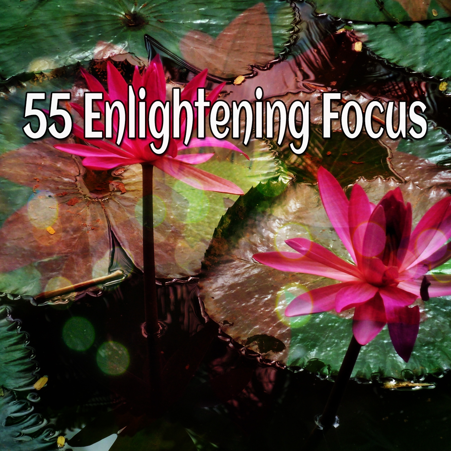 55 Enlightening Focus
