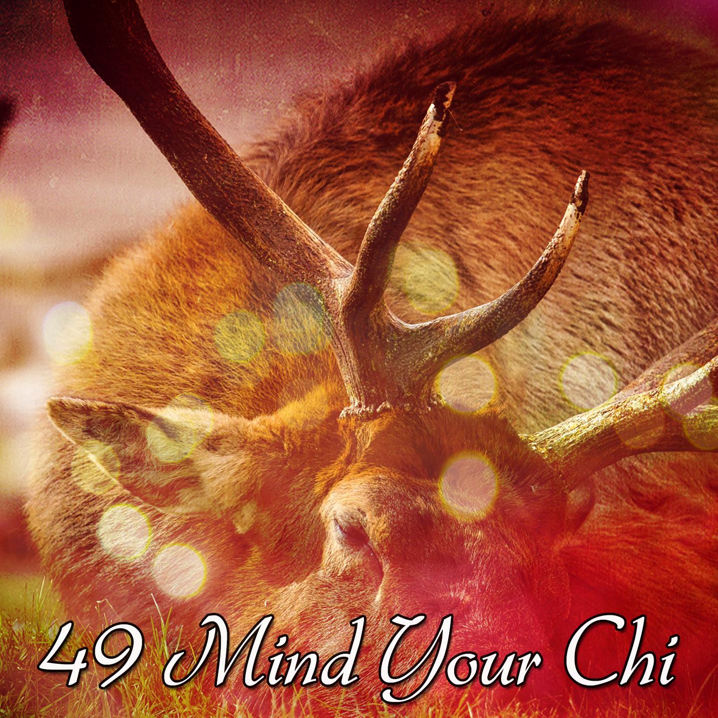 49 Mind Your Chi