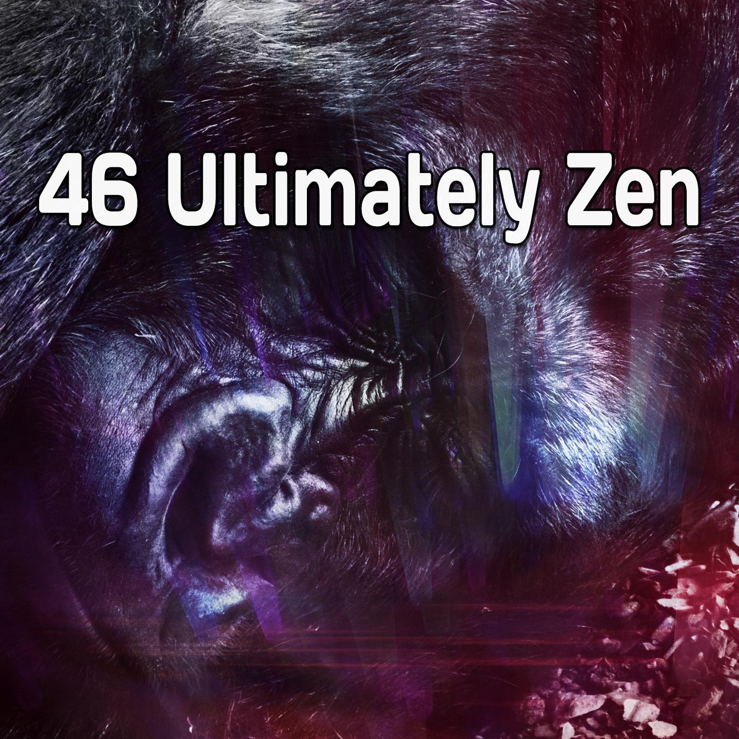 46 Ultimately Zen