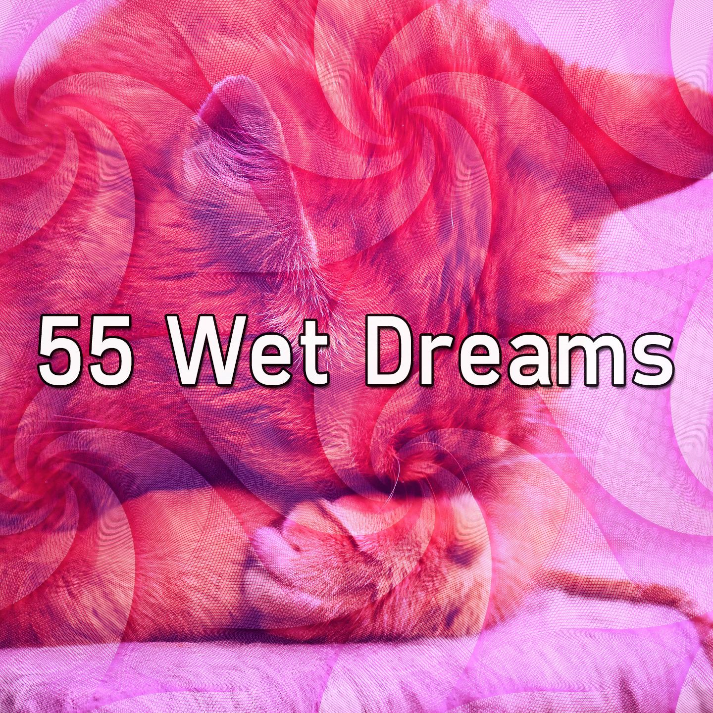 55 Wet Dreams