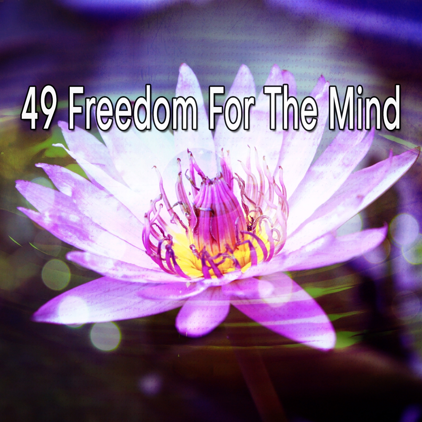 49 Freedom For The Mind