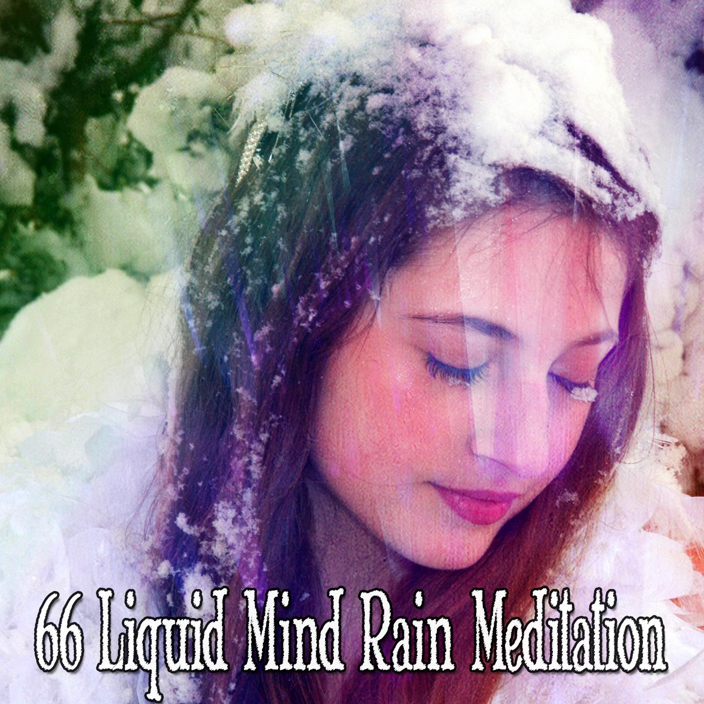 66 Liquid Mind Rain Meditation