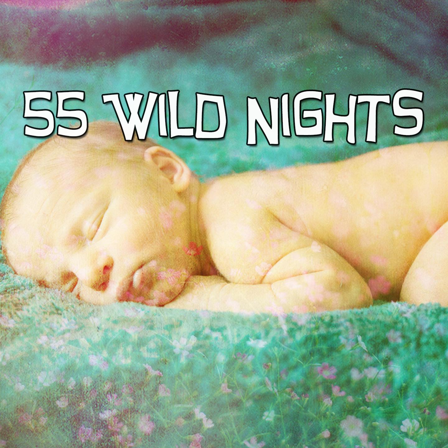 55 Wild Nights