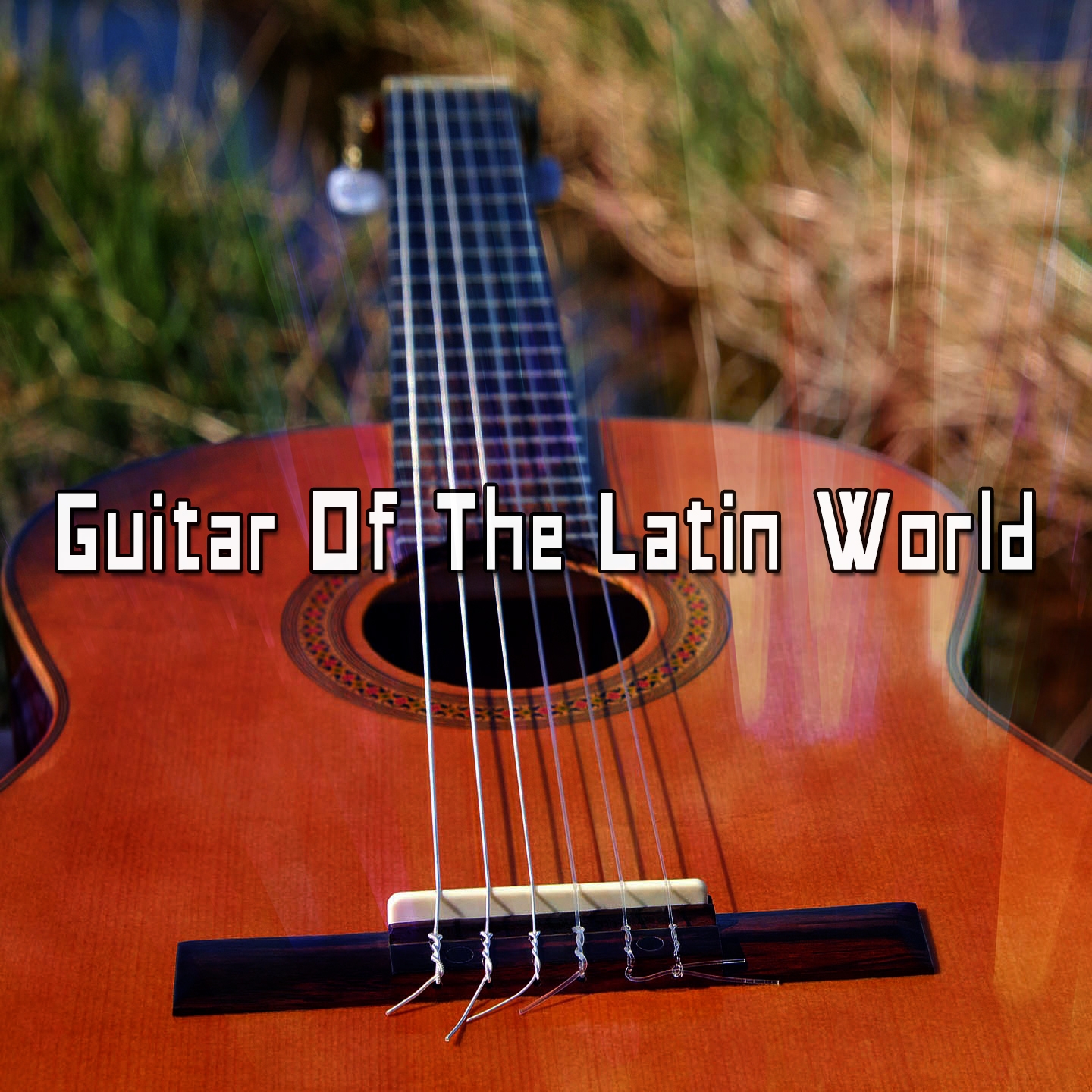 Guitar Of The Latin World