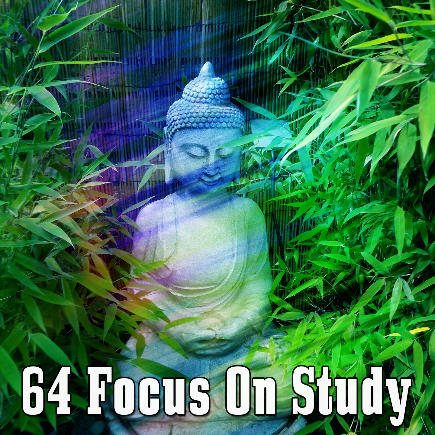 64 Focus On Study