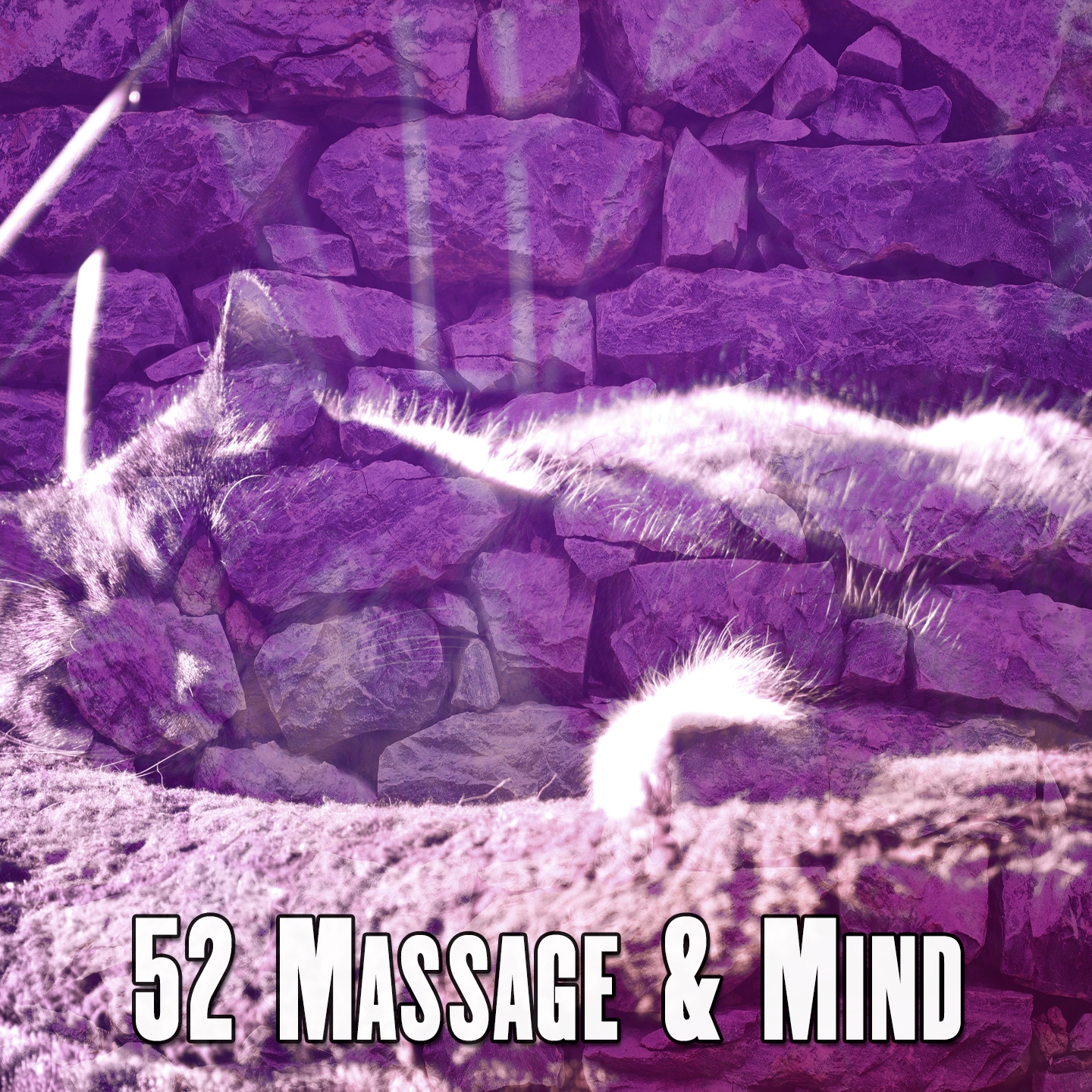 52 Massage & Mind