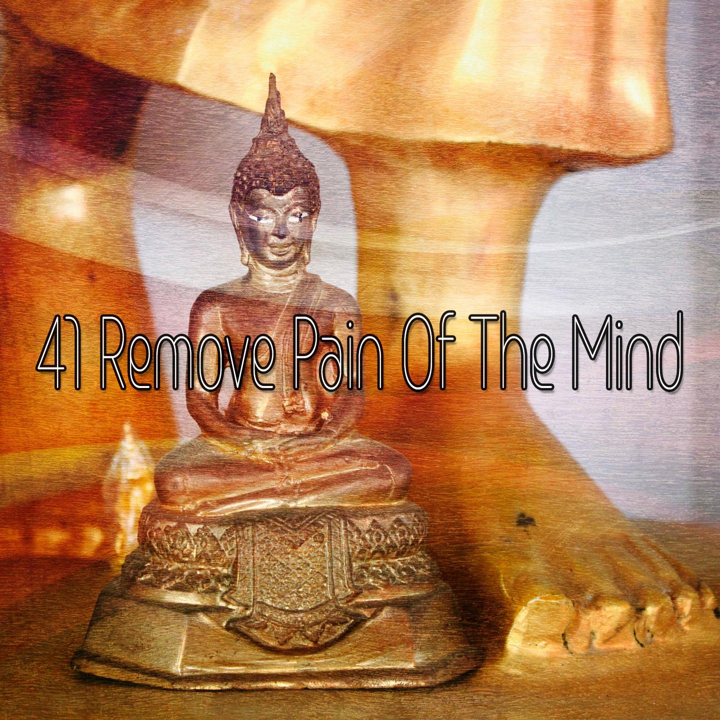 41 Remove Pain Of The Mind