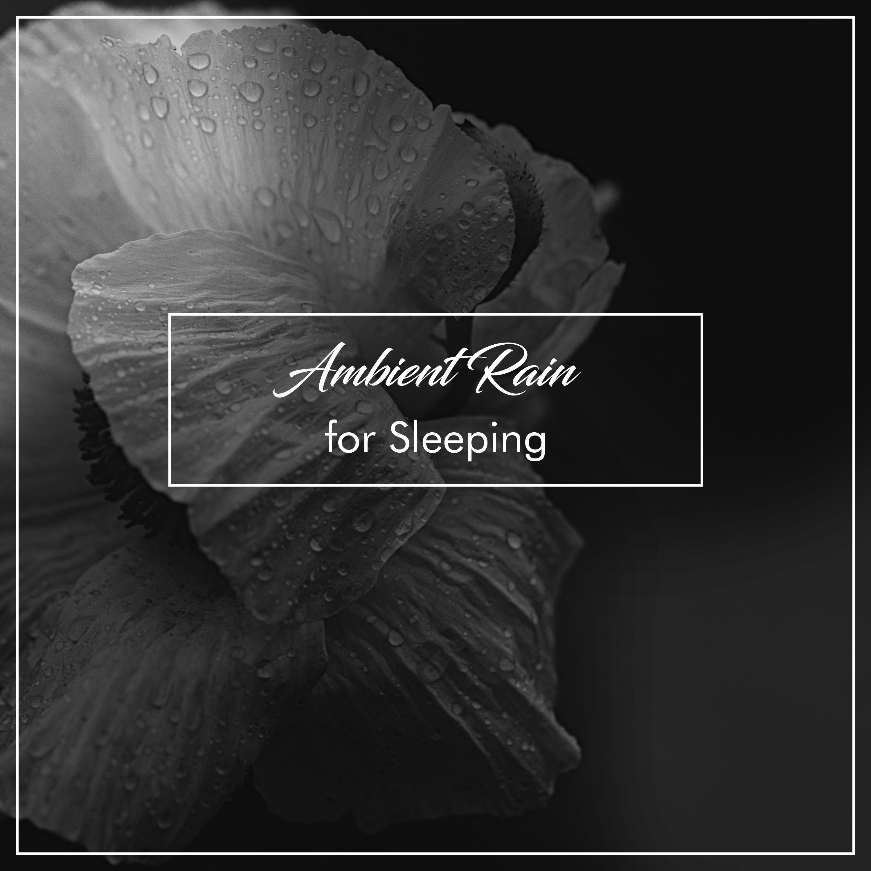 12 Ambient Rain Tracks for Sleeping