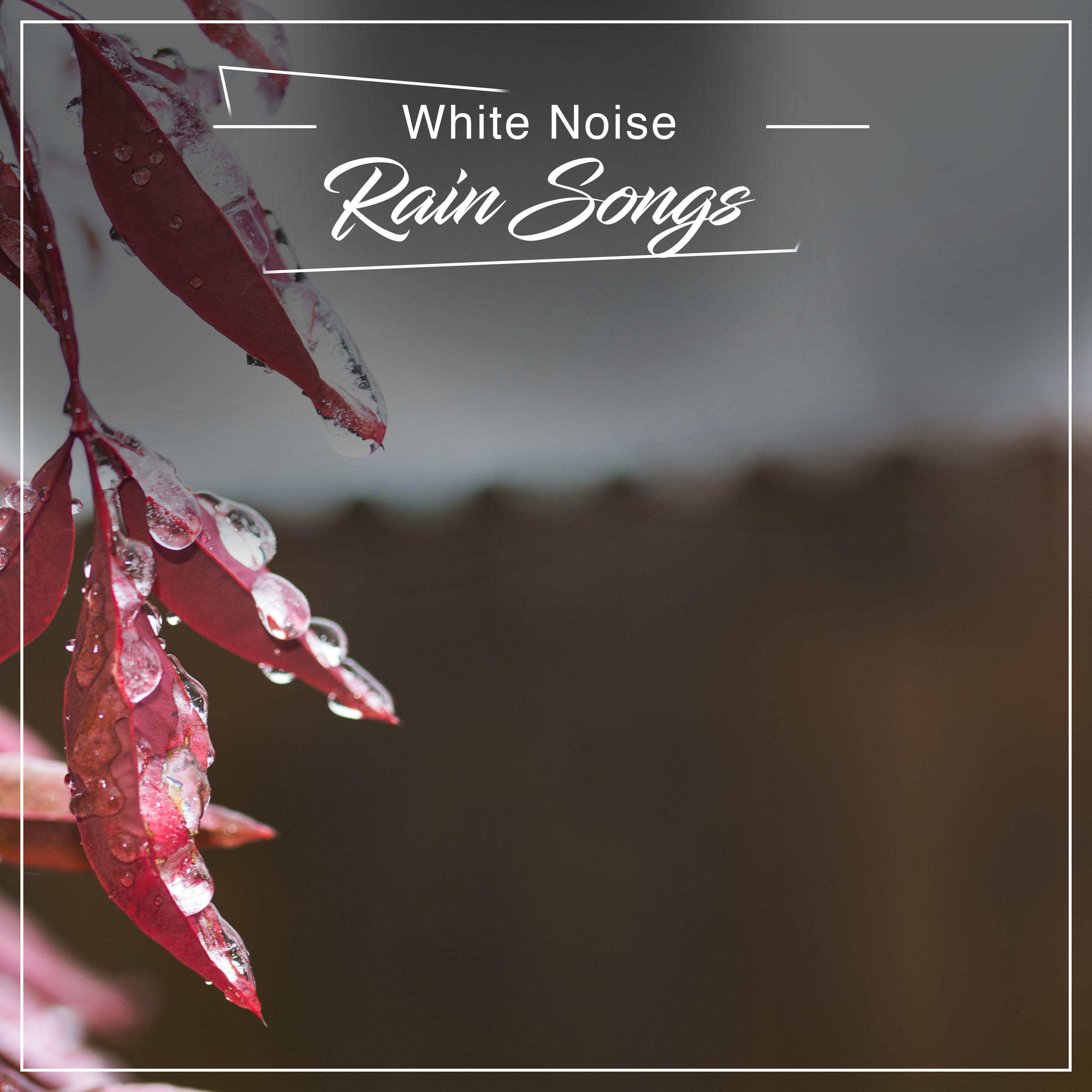 20 White Noise Rain Songs for Inner Peace
