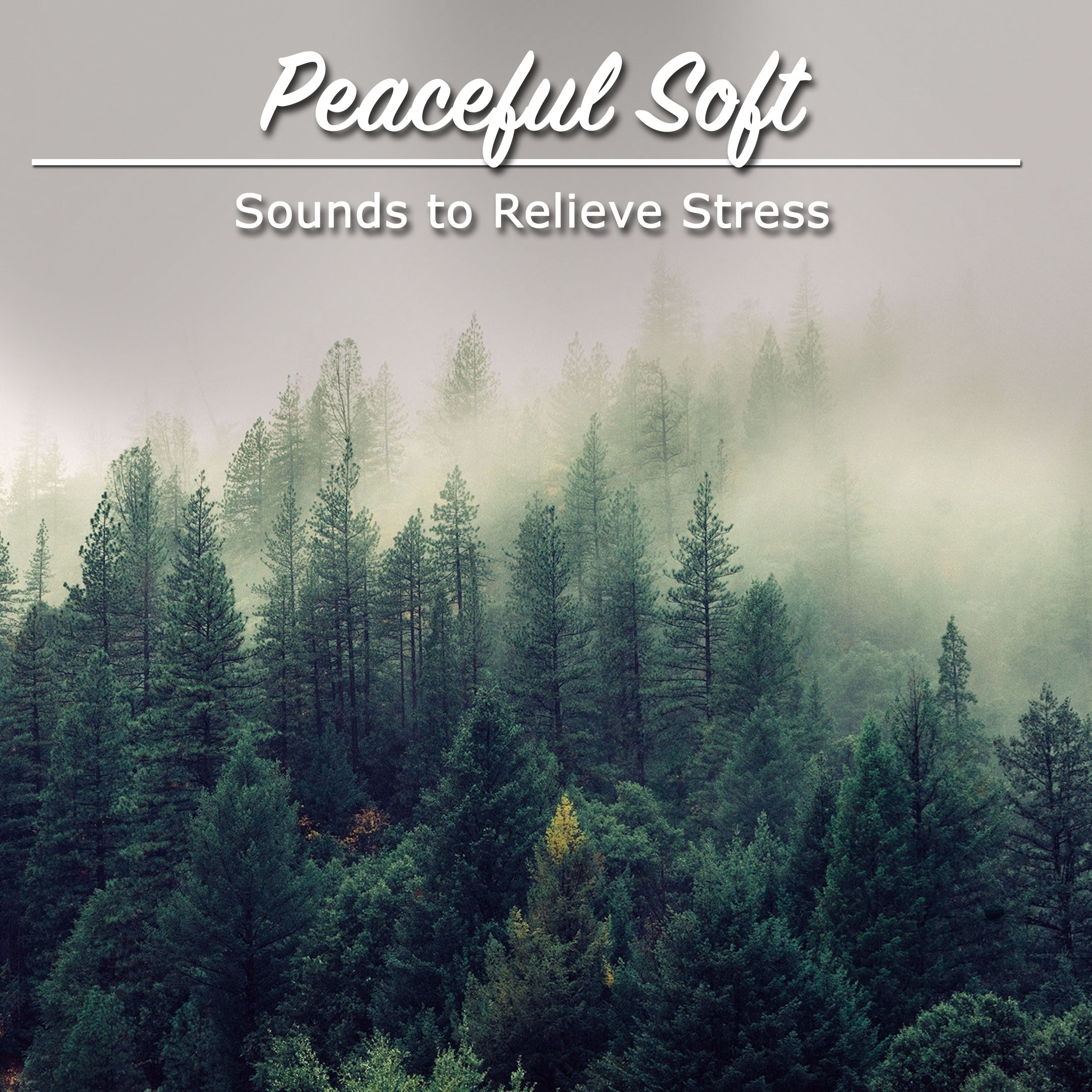 1 Hour Peaceful Soft Sounds to Relieve Stress