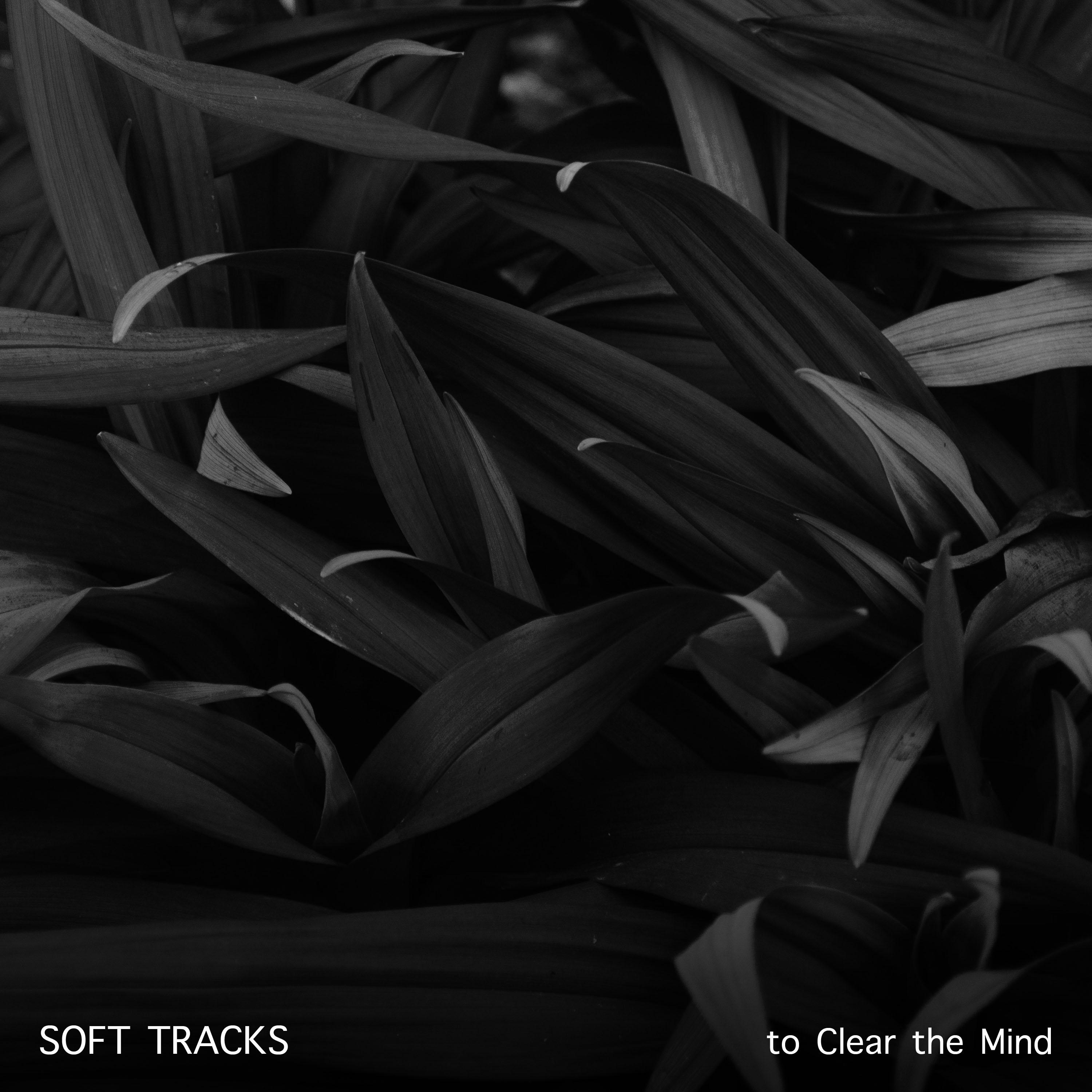 13 Peaceful Soft Tracks to Clear your Mind