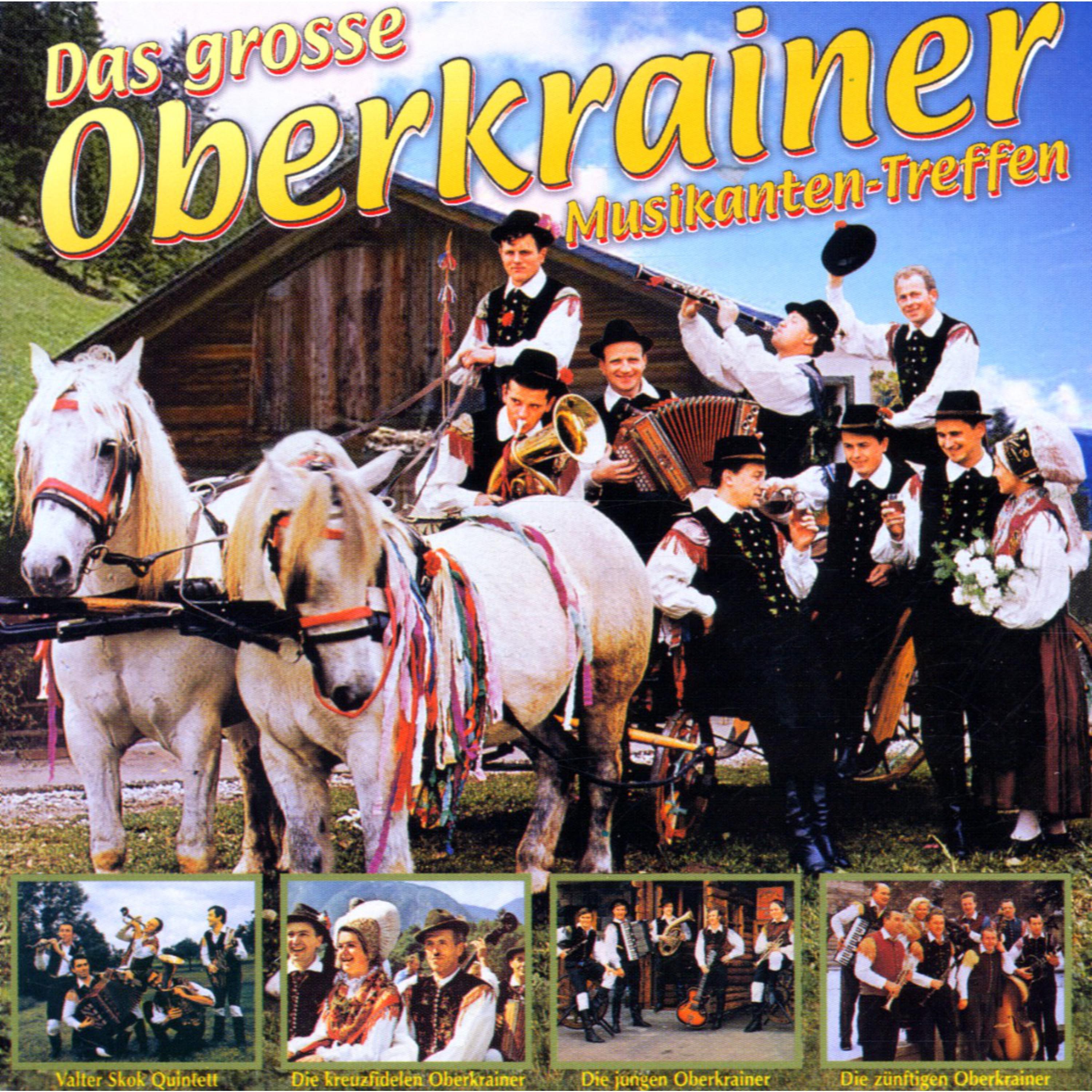 Das grosse Oberkrainer Musikanten-Treffen