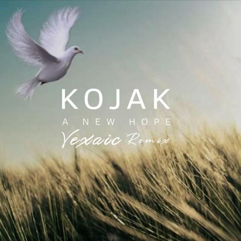 A New Hope (Vexaic Remix)