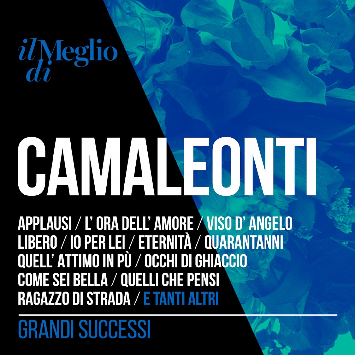 Il meglio di Camaleonti - grandi successi