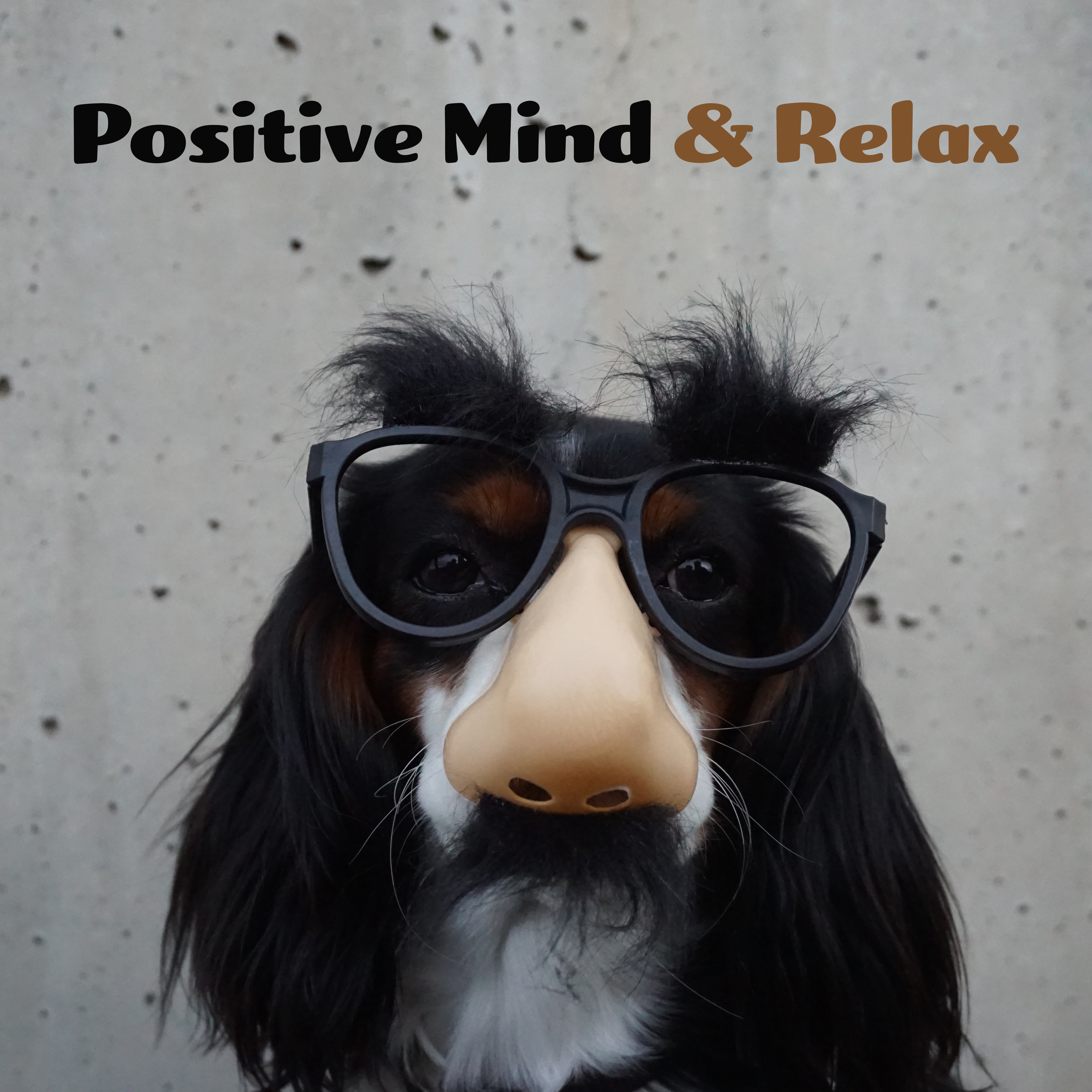 Positive Mind & Relax
