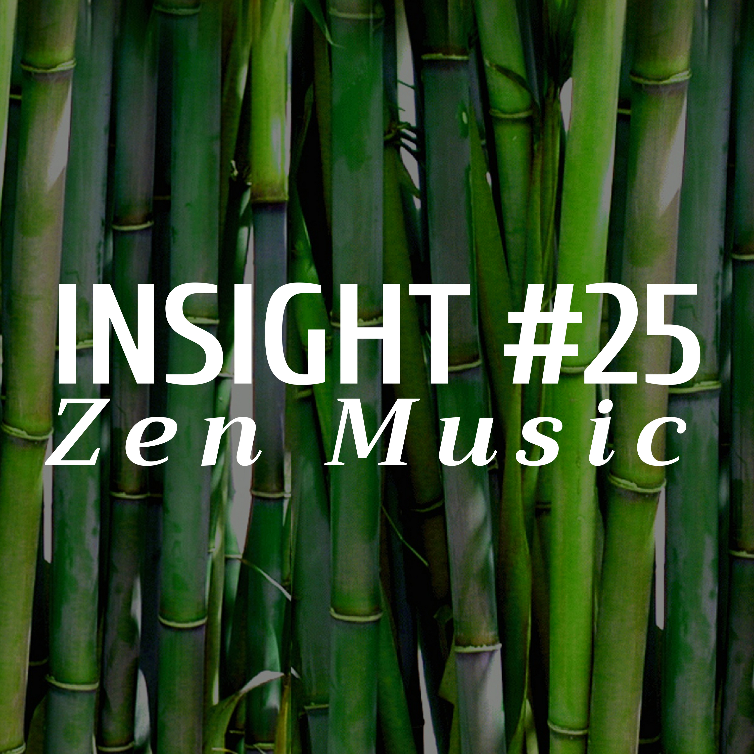 Insight #25 - Zen Music