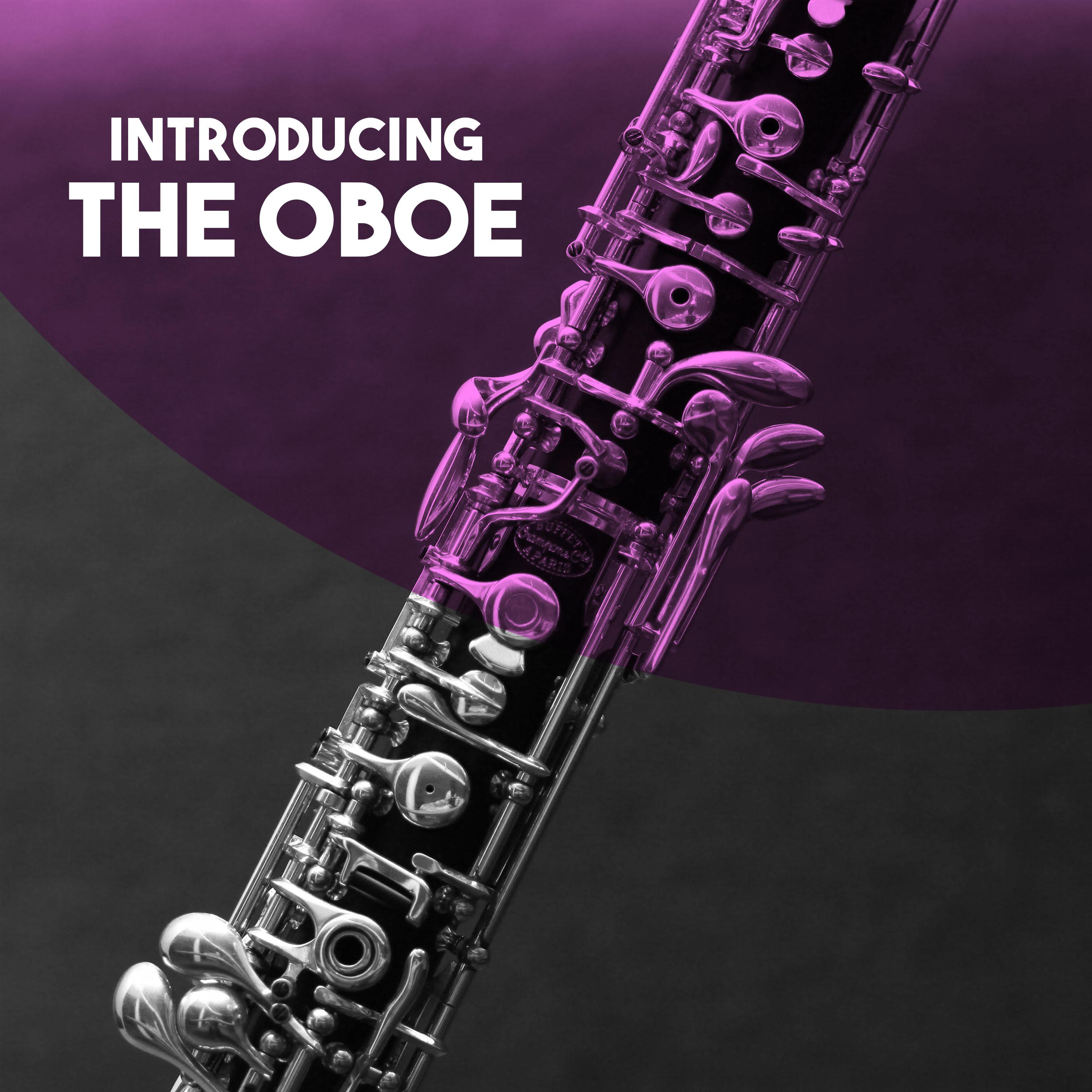 Oboe Concerto in D Minor, TWV51. d1: I. Adagio
