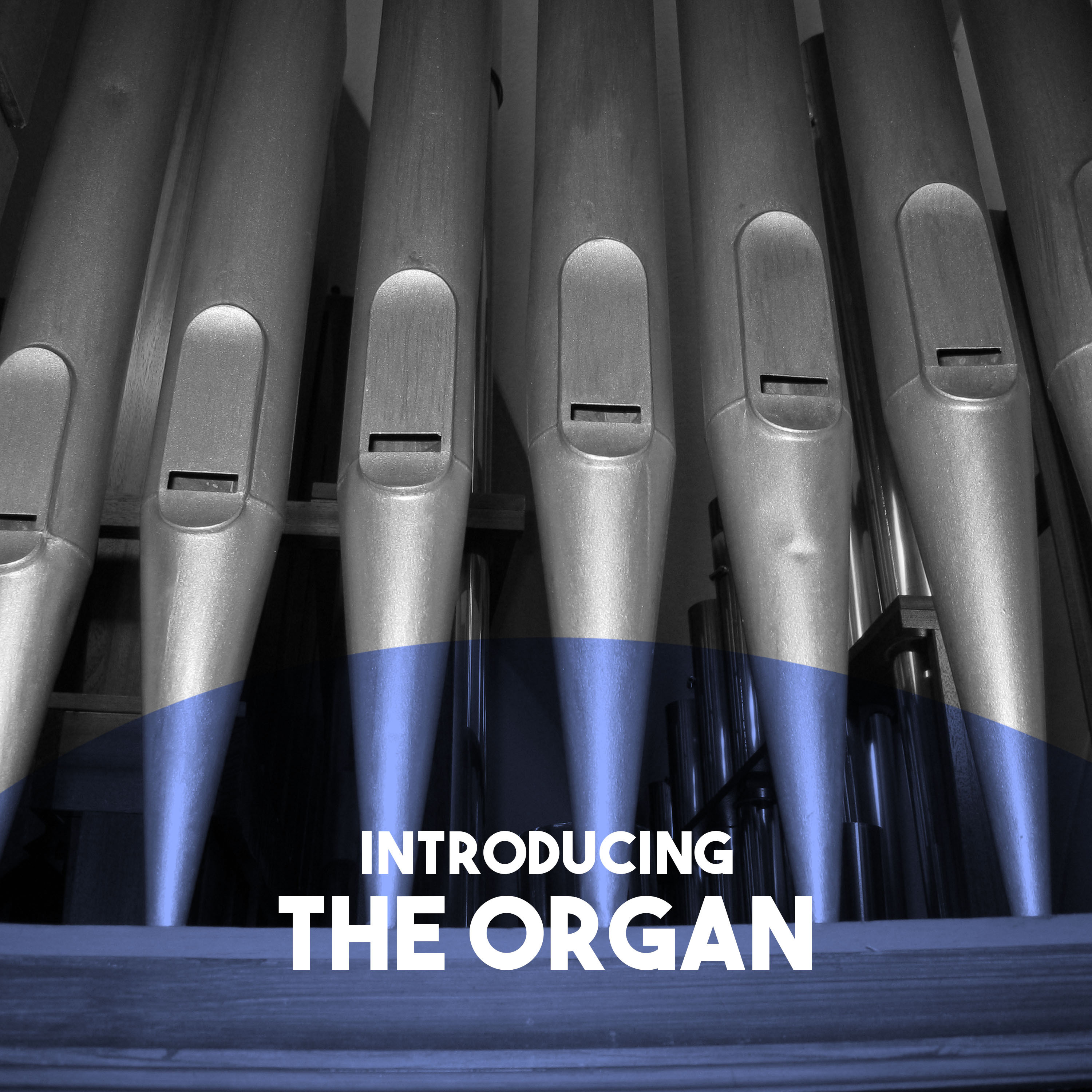 Introducing: The Organ