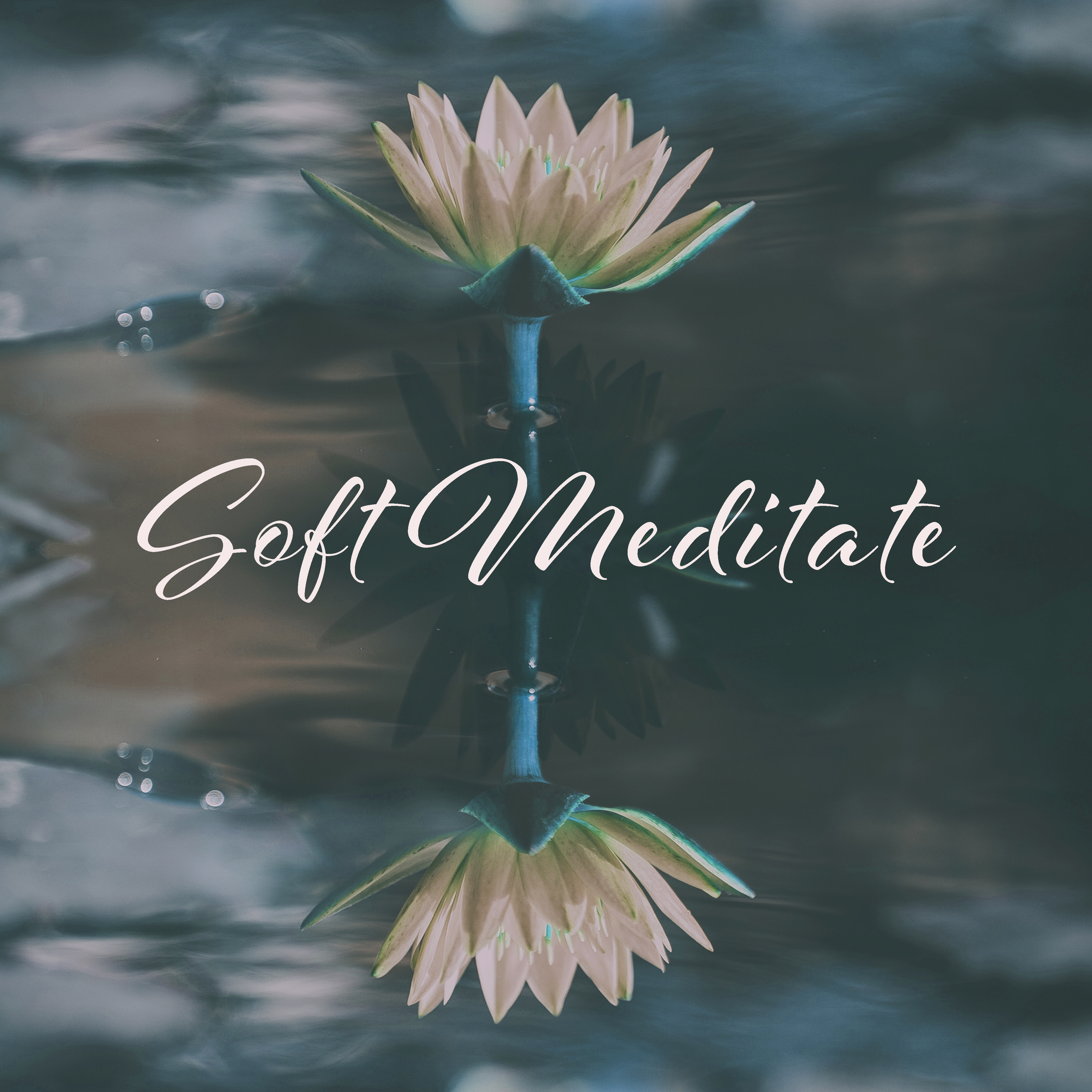 Soft Meditate  Hatha Yoga, Stress Relief, Relaxing Songs to Rest, Zen Spirit, Harmony
