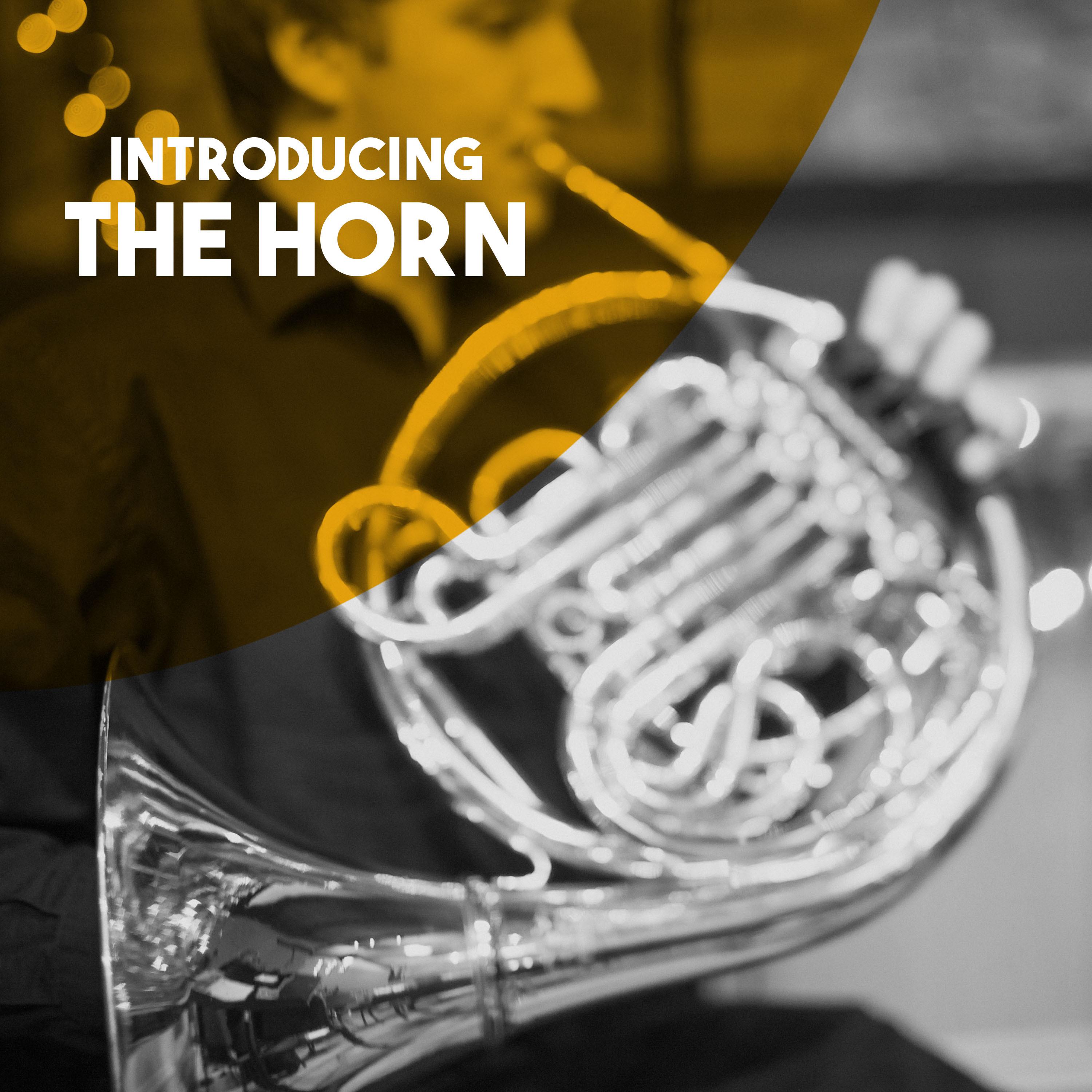 Introducing: The Horn