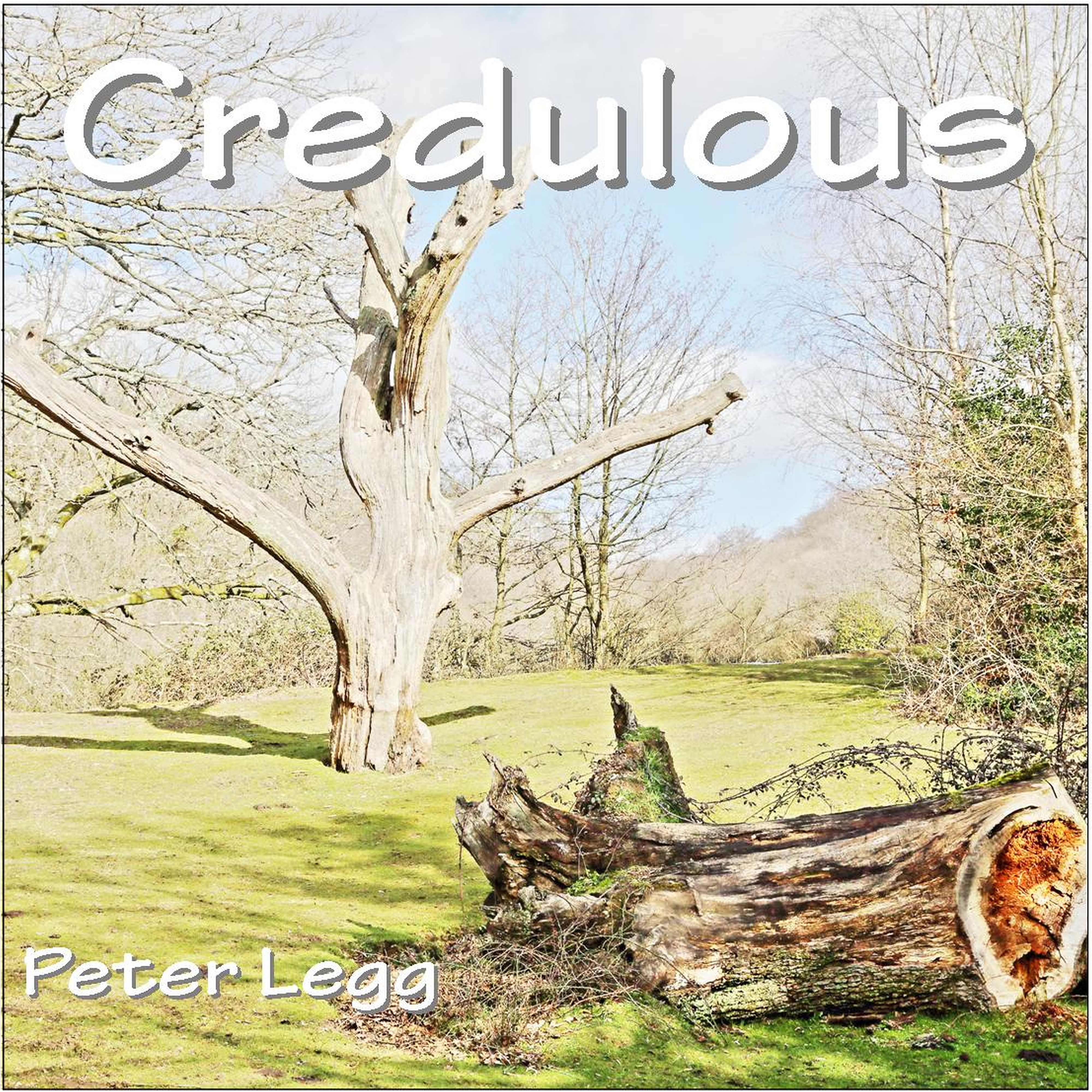 Credulous