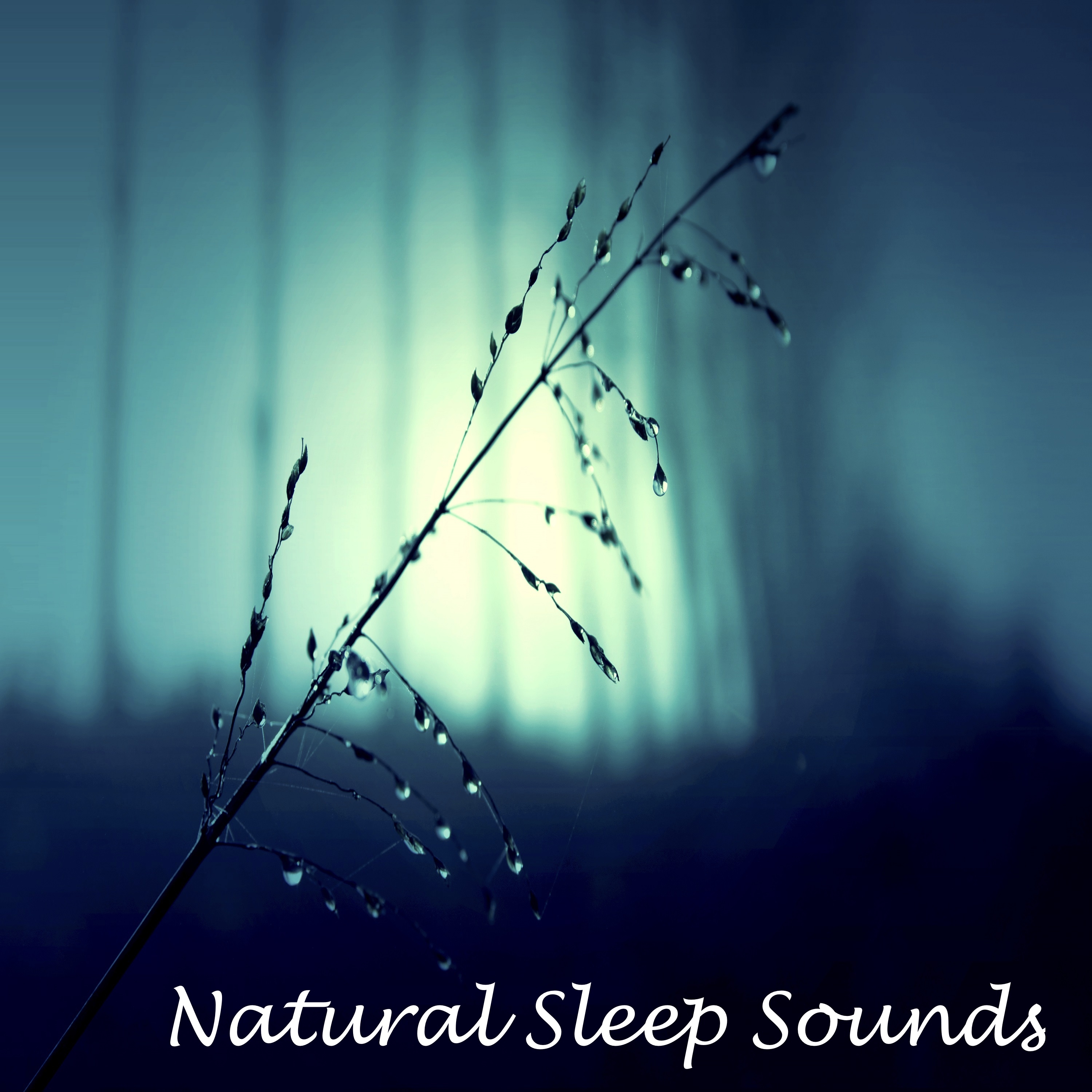 5 Loopable Rain Sounds for Meditation, Relaxation, Sleep and Wellbeing